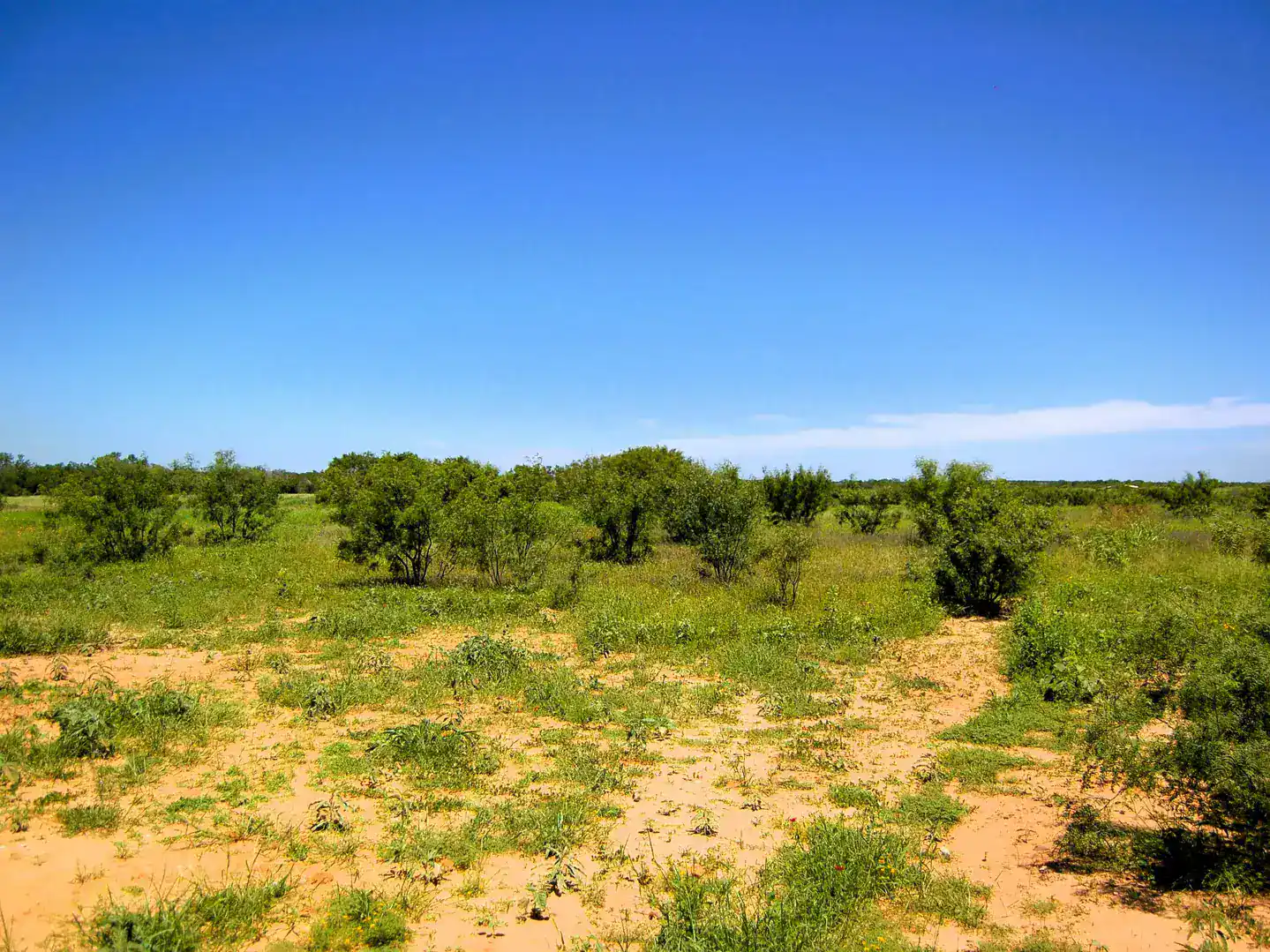 6061 Sand Hollow Road Pearsall TX 78061
