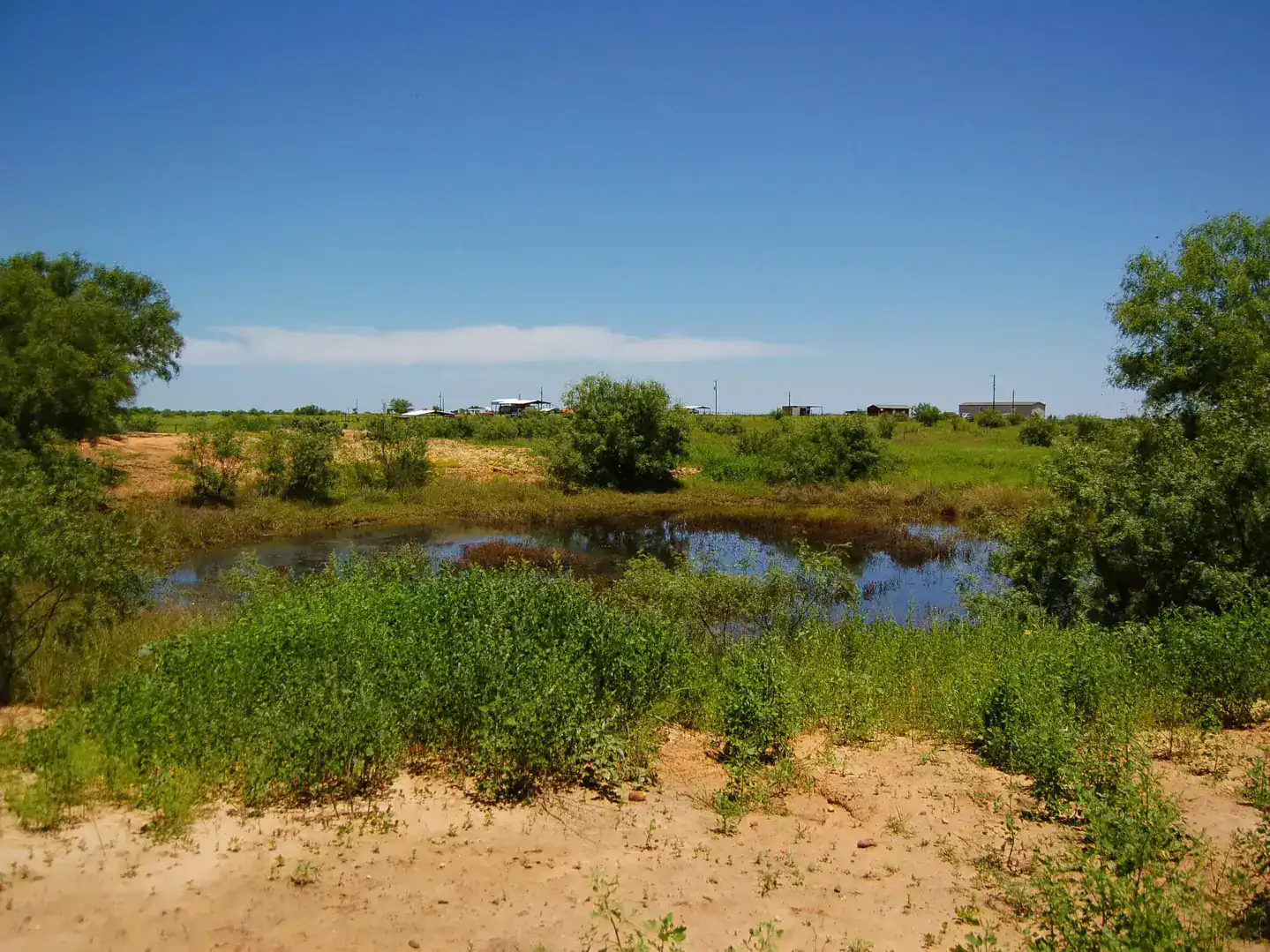 6061 Sand Hollow Road Pearsall TX 78061