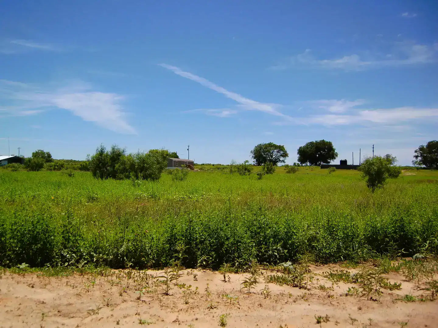 6061 Sand Hollow Road Pearsall TX 78061