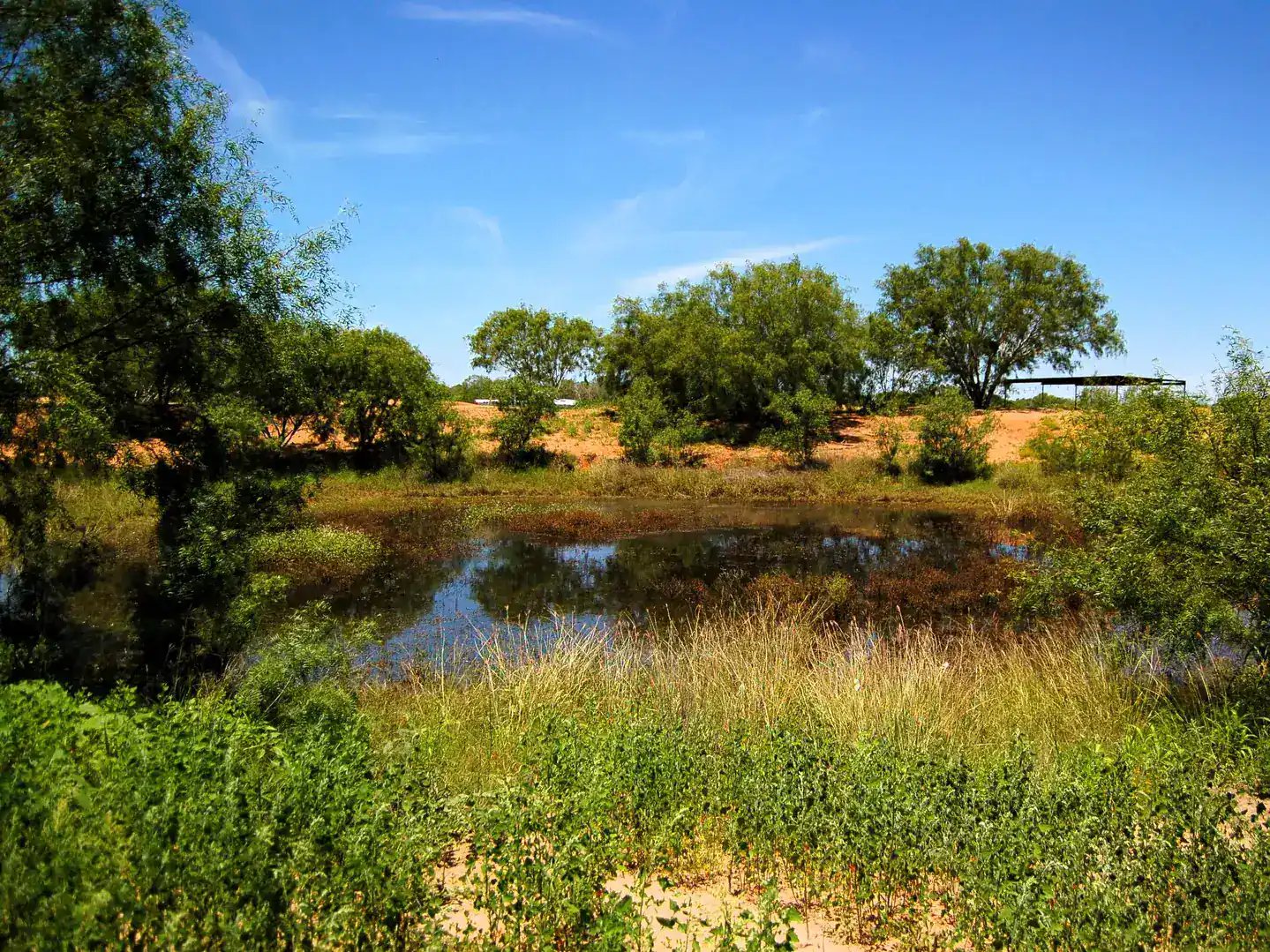 6061 Sand Hollow Road Pearsall TX 78061