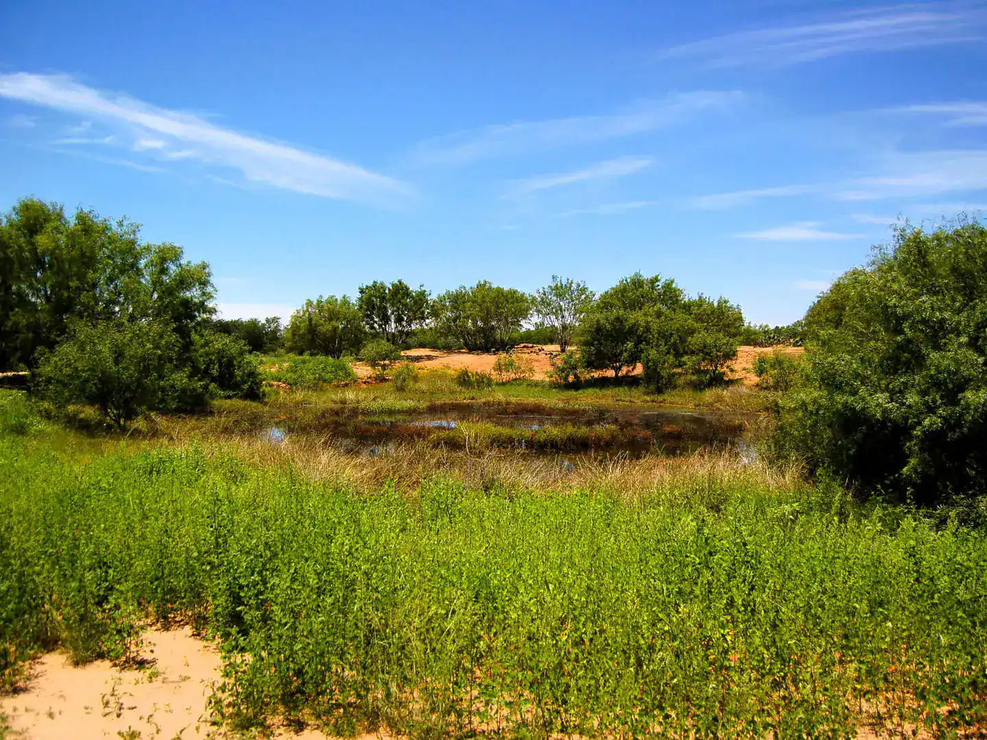 6061 Sand Hollow Road Pearsall TX 78061