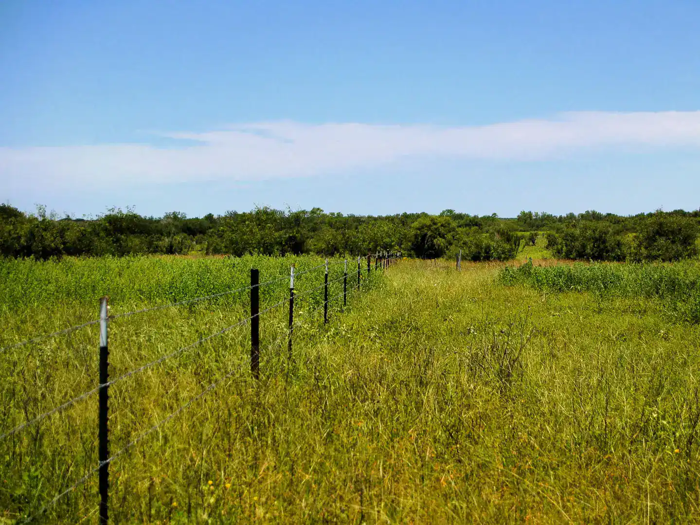 6061 Sand Hollow Road Pearsall TX 78061