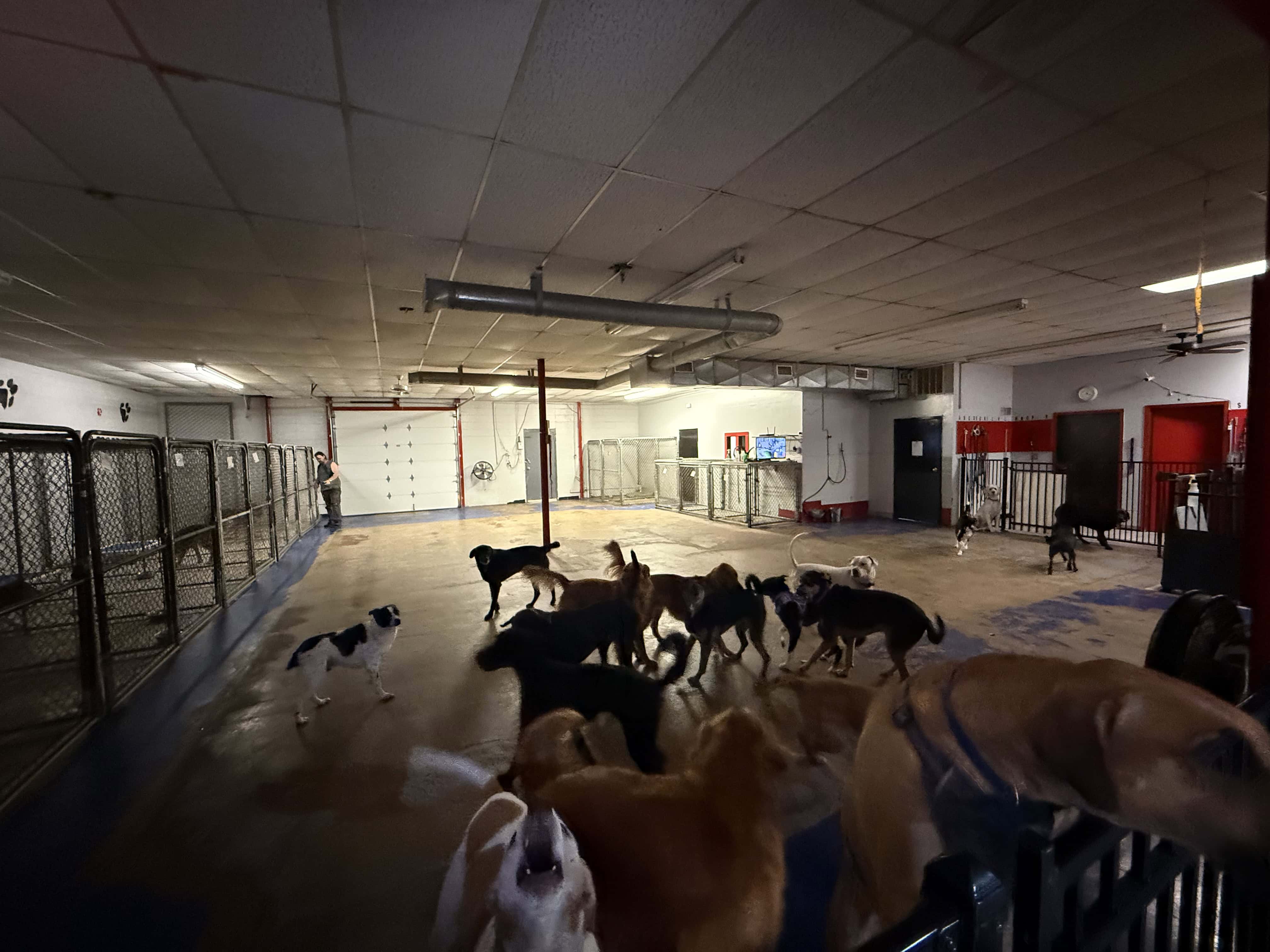 323 North Matthewson Wichita KS 67214