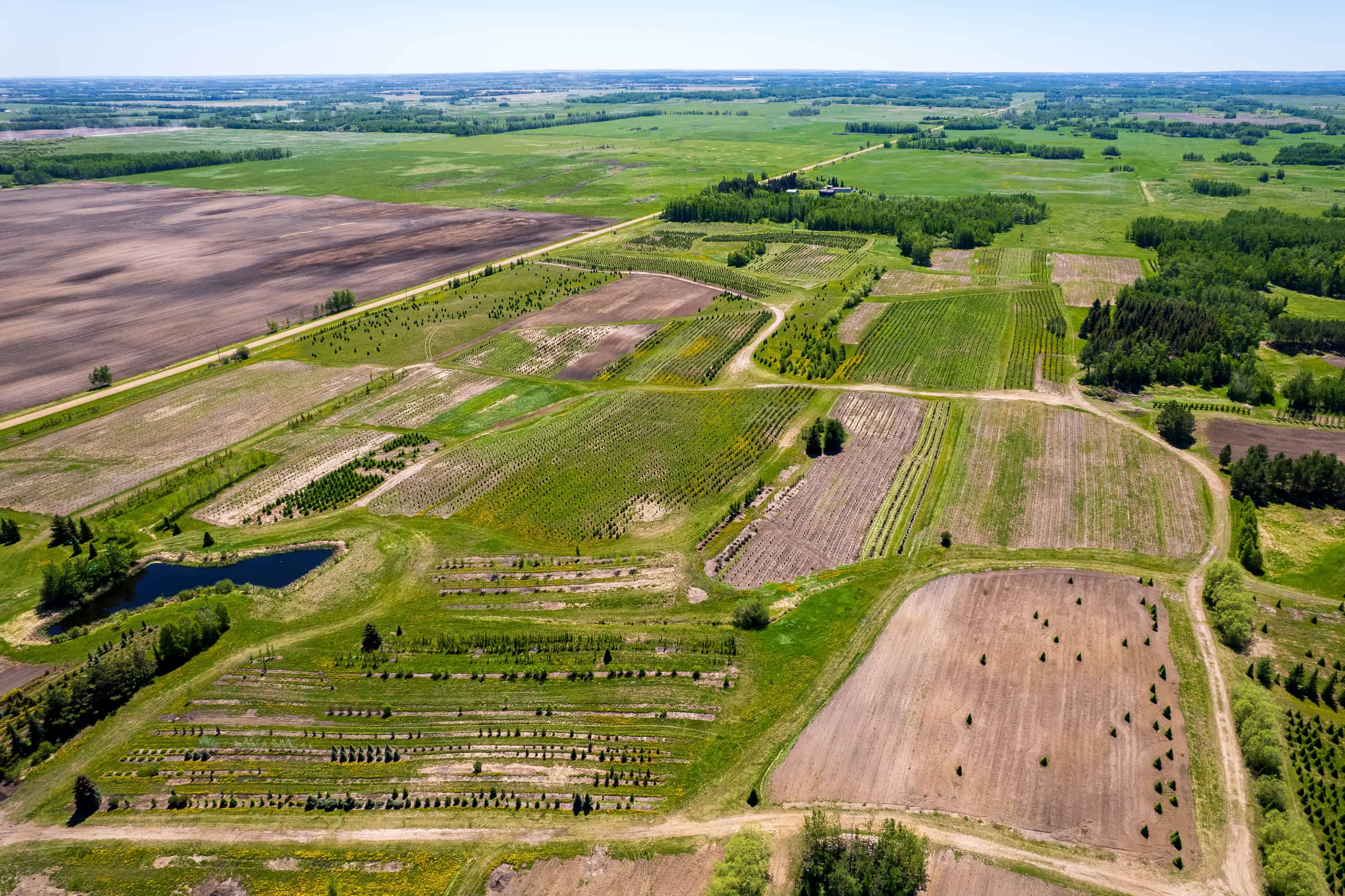 Rr 272, County Of Wetaskiwin No 10, Ne-10-45-27 W4 Leduc AB