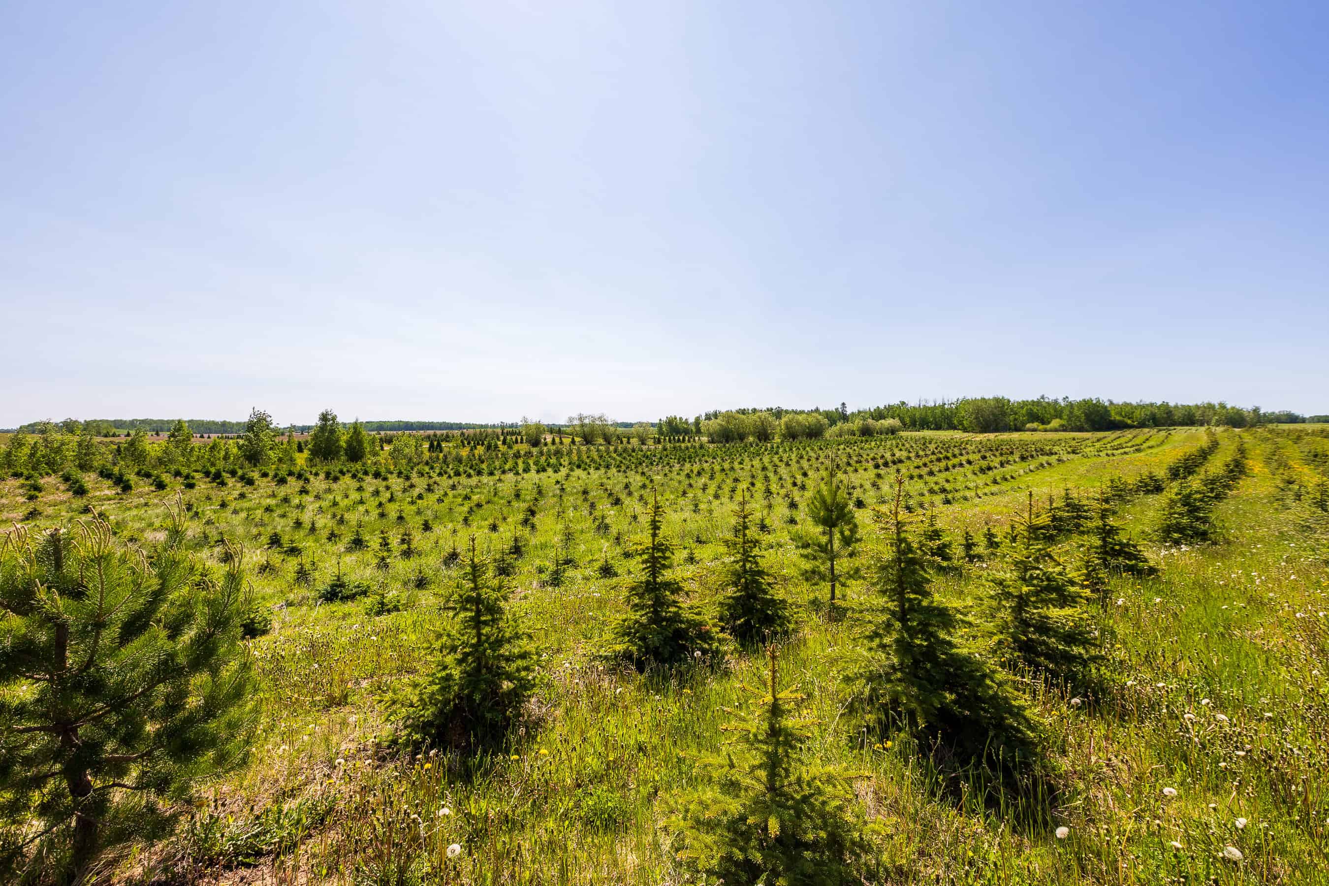 Rr 272, County Of Wetaskiwin No 10, Ne-10-45-27 W4 Leduc AB