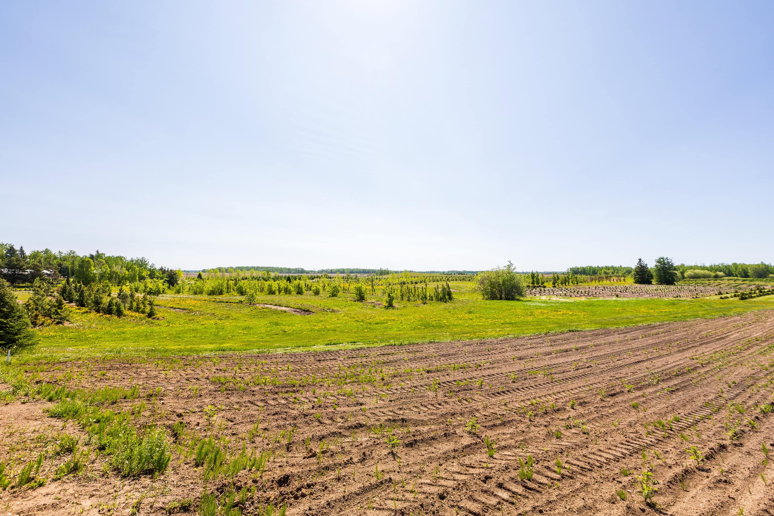Rr 272, County Of Wetaskiwin No 10, Ne-10-45-27 W4 Leduc AB