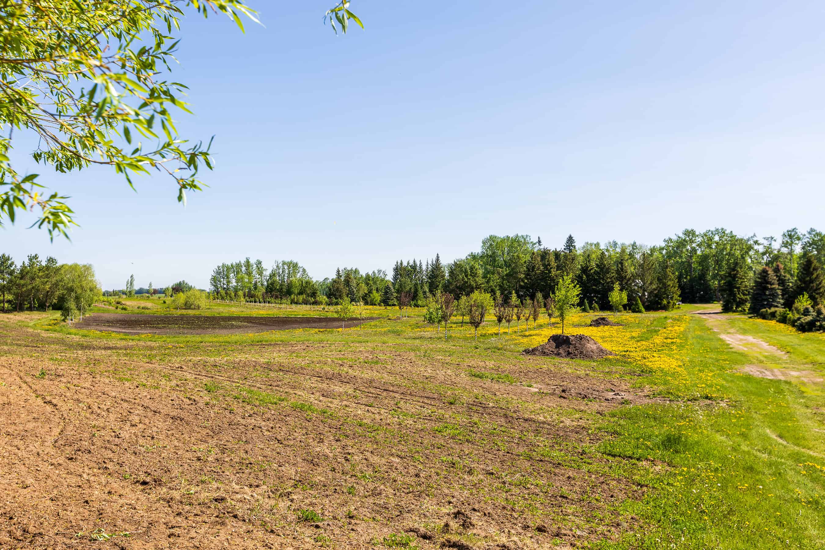 Rr 272, County Of Wetaskiwin No 10, Ne-10-45-27 W4 Leduc AB