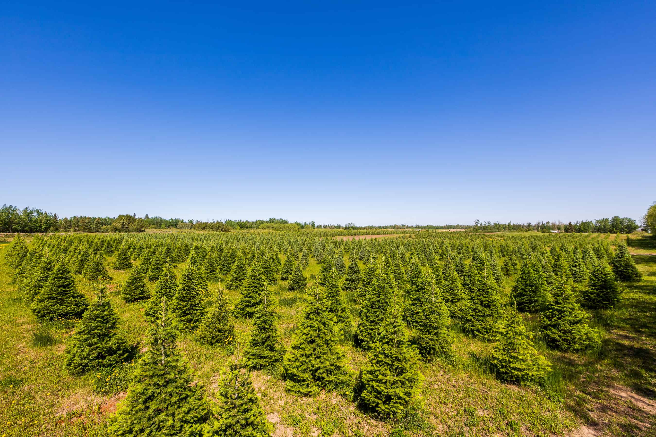 Rr 272, County Of Wetaskiwin No 10, Ne-10-45-27 W4 Leduc AB