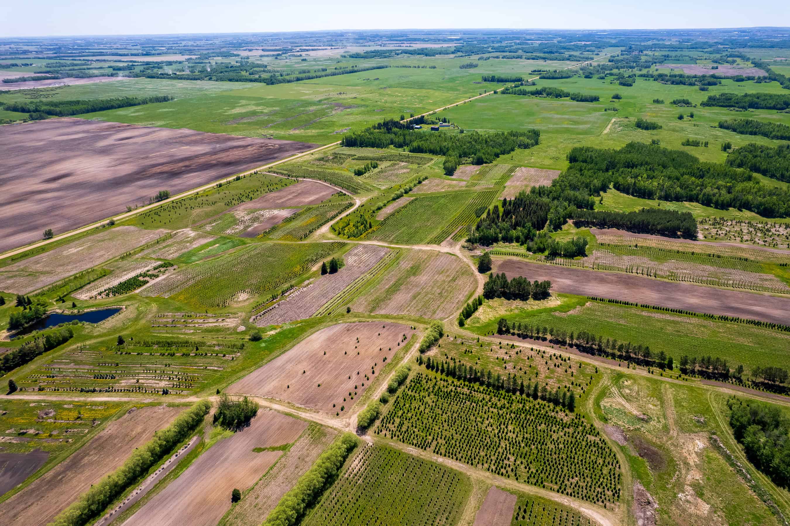 Rr 272, County Of Wetaskiwin No 10, Ne-10-45-27 W4 Leduc AB