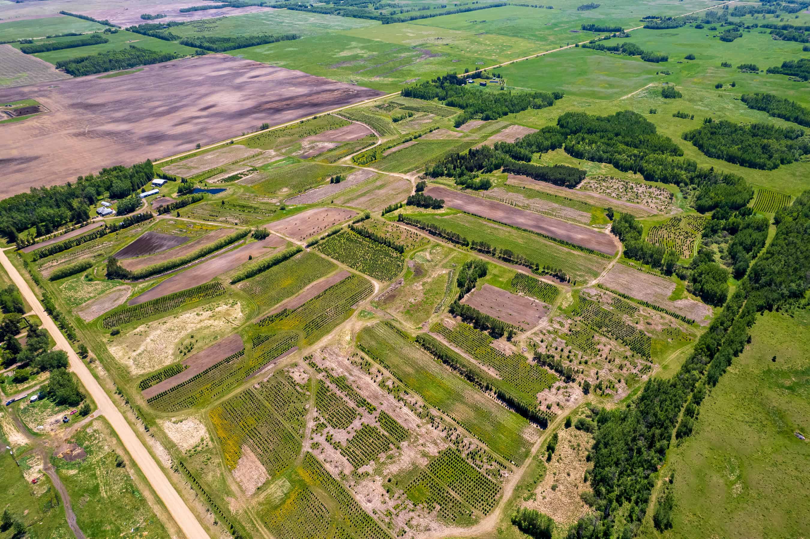 Rr 272, County Of Wetaskiwin No 10, Ne-10-45-27 W4 Leduc AB