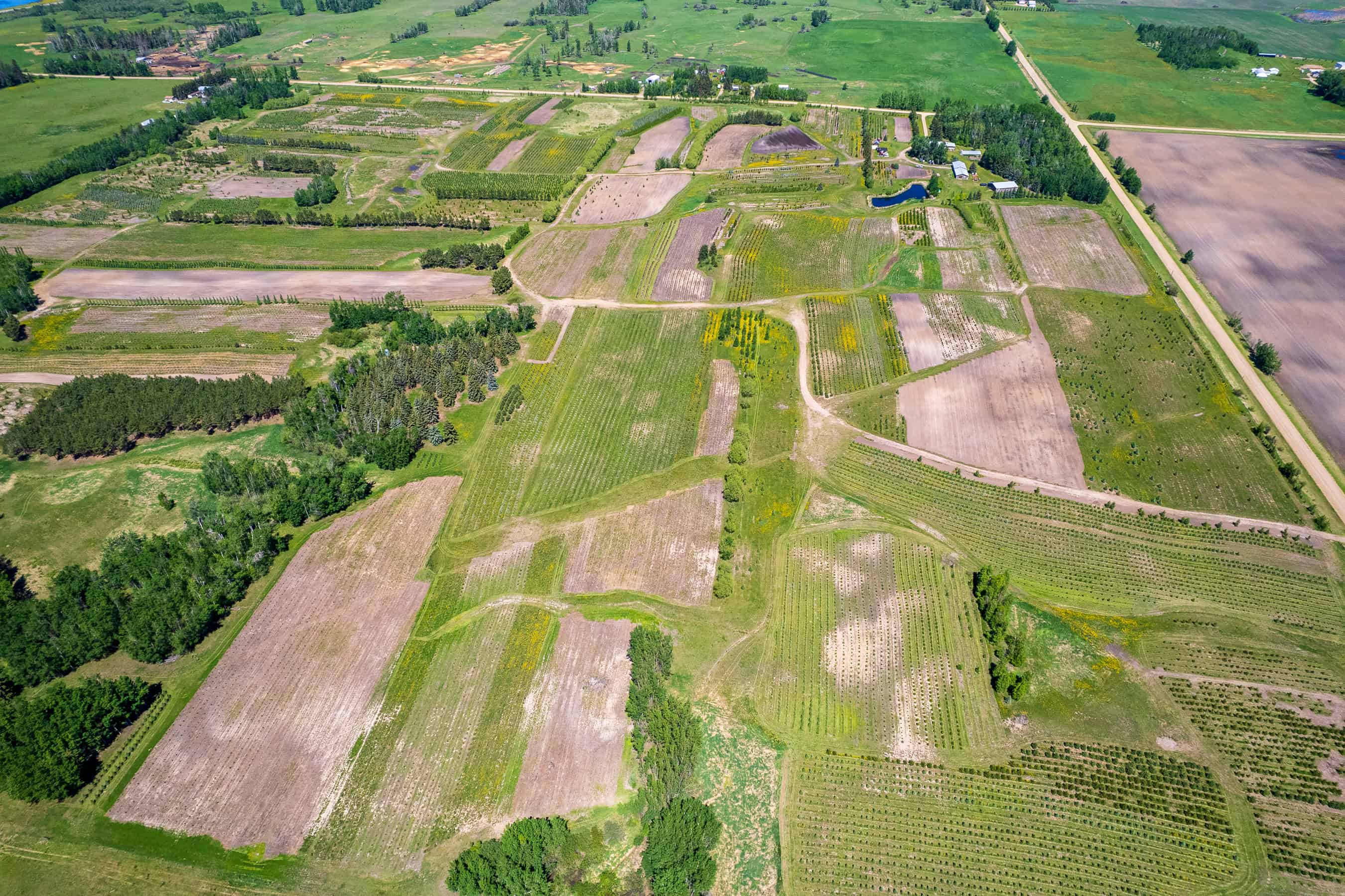 Rr 272, County Of Wetaskiwin No 10, Ne-10-45-27 W4 Leduc AB