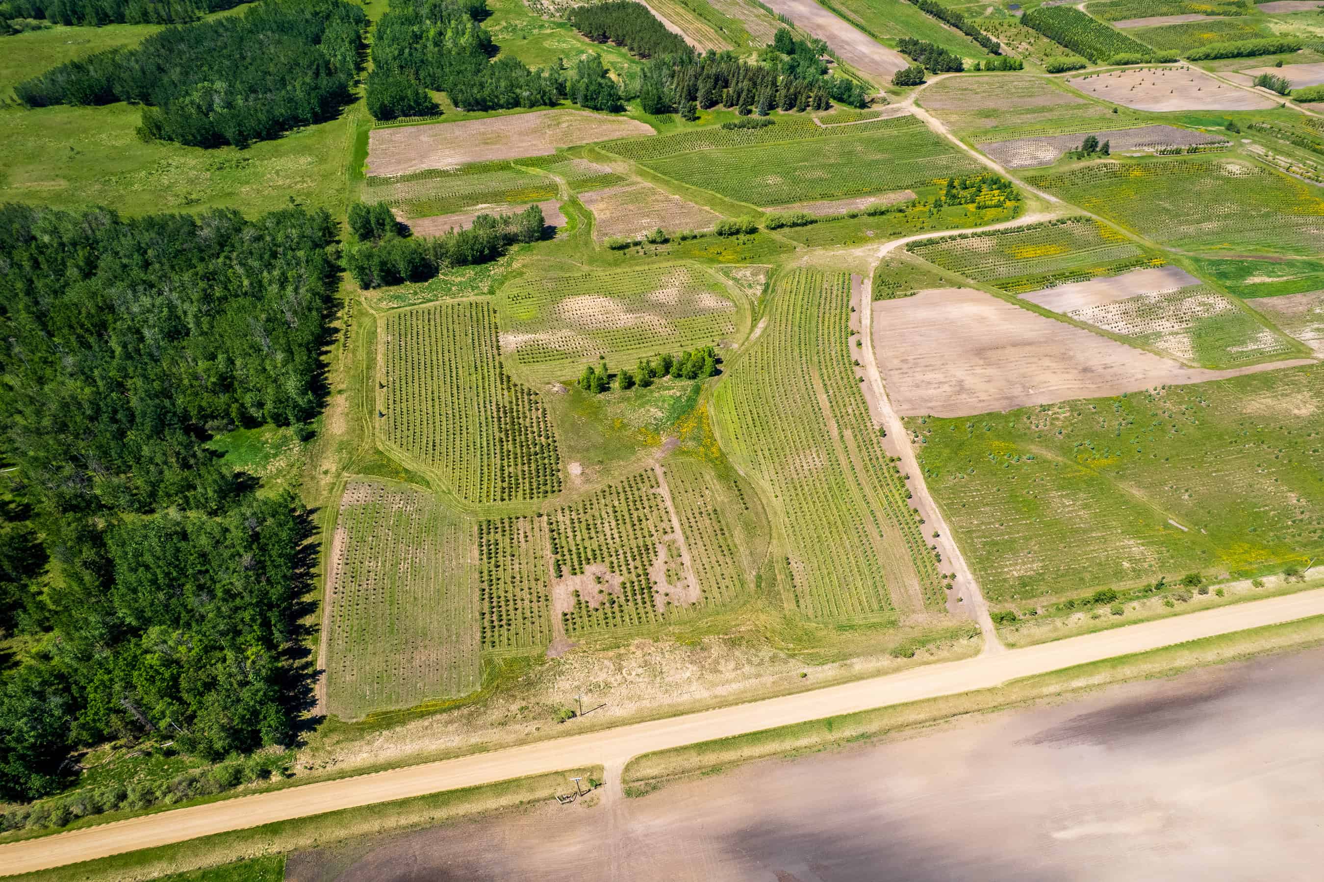 Rr 272, County Of Wetaskiwin No 10, Ne-10-45-27 W4 Leduc AB