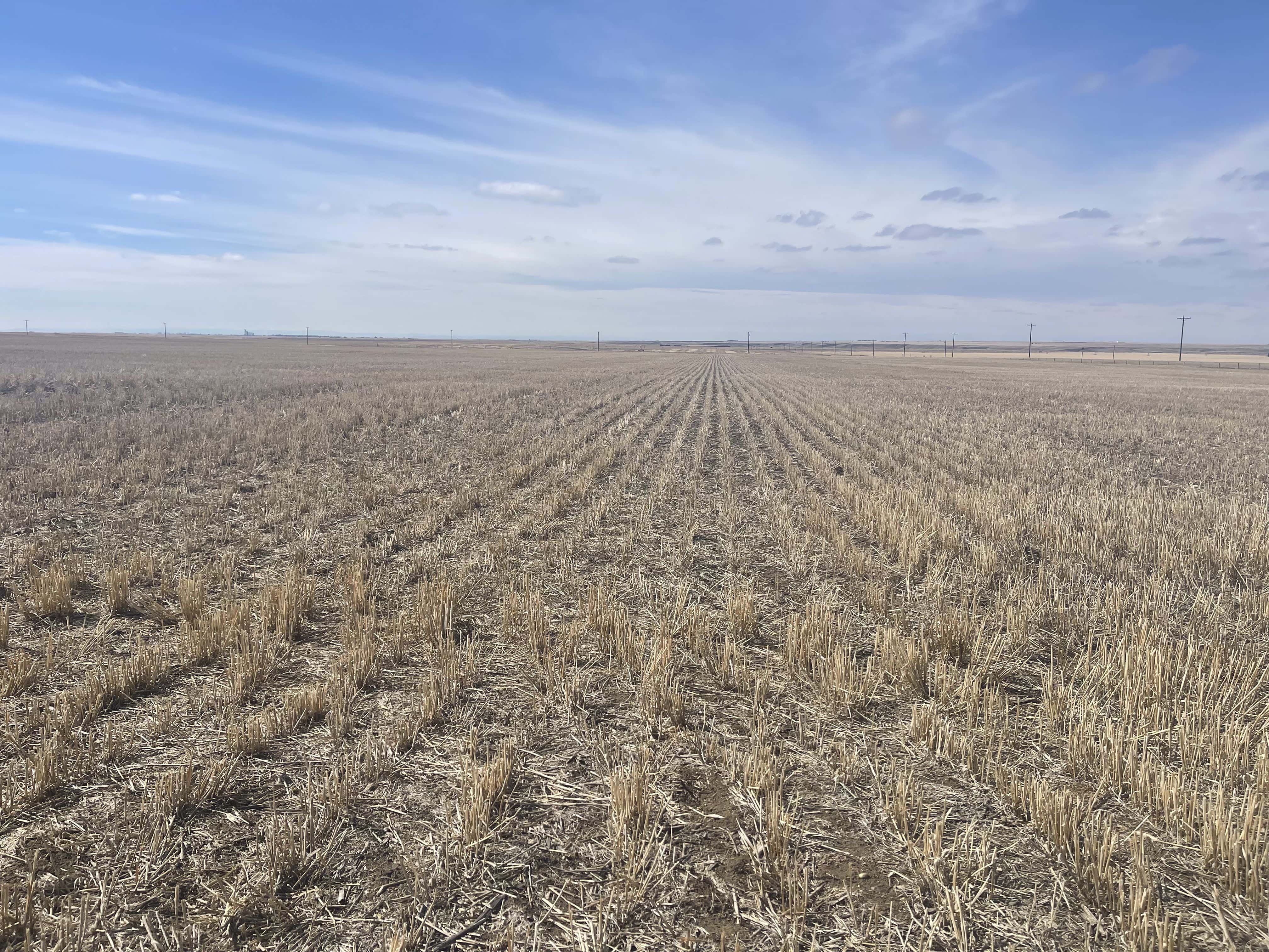 On Twp 142 Carmagay AB