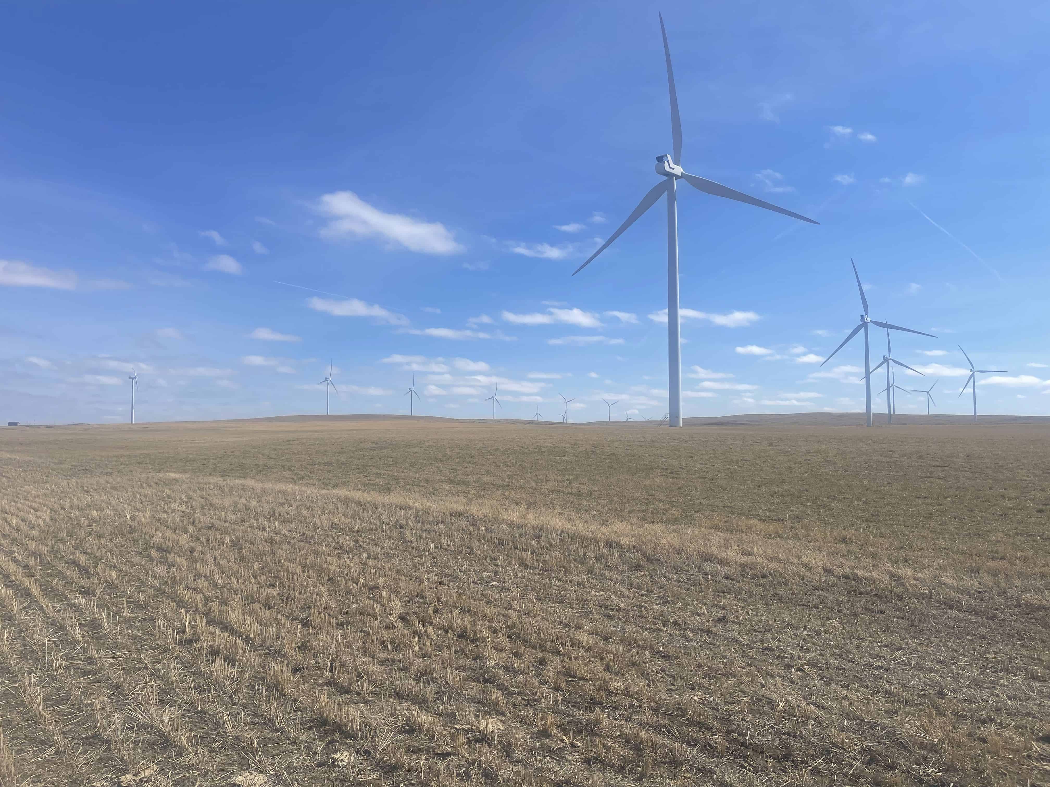 On Twp 142 Carmagay AB