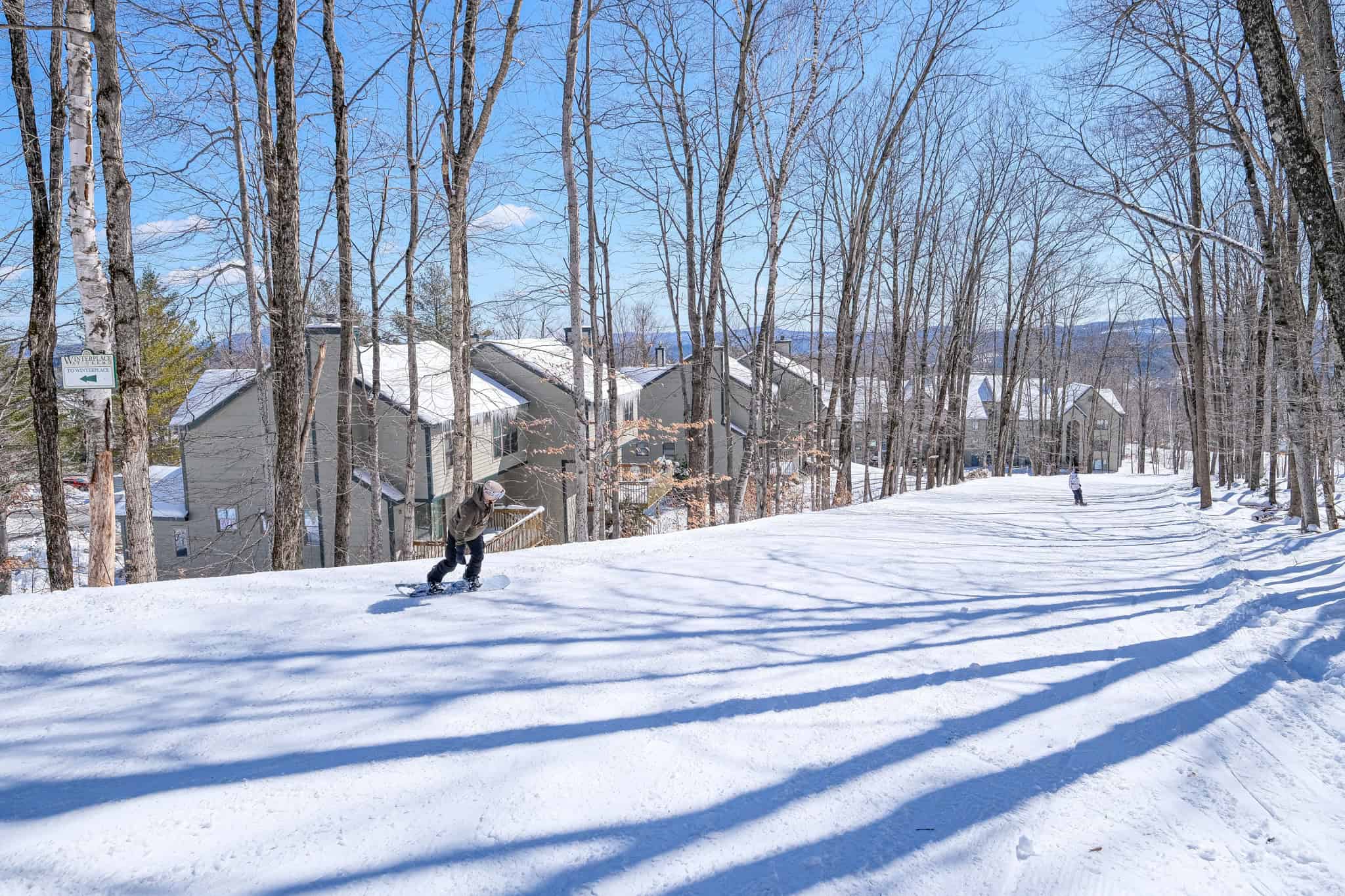 ludlow VT