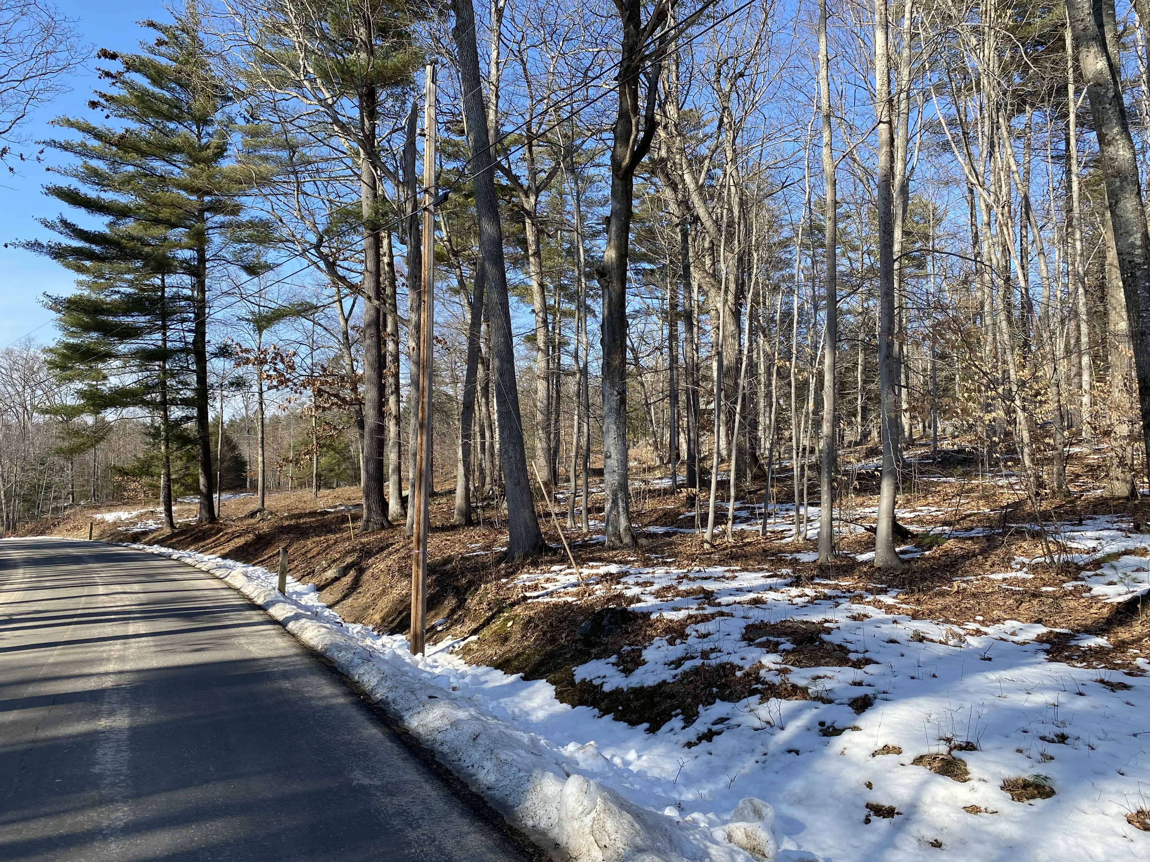 Elkins Point Road Moultonborough NH 03254