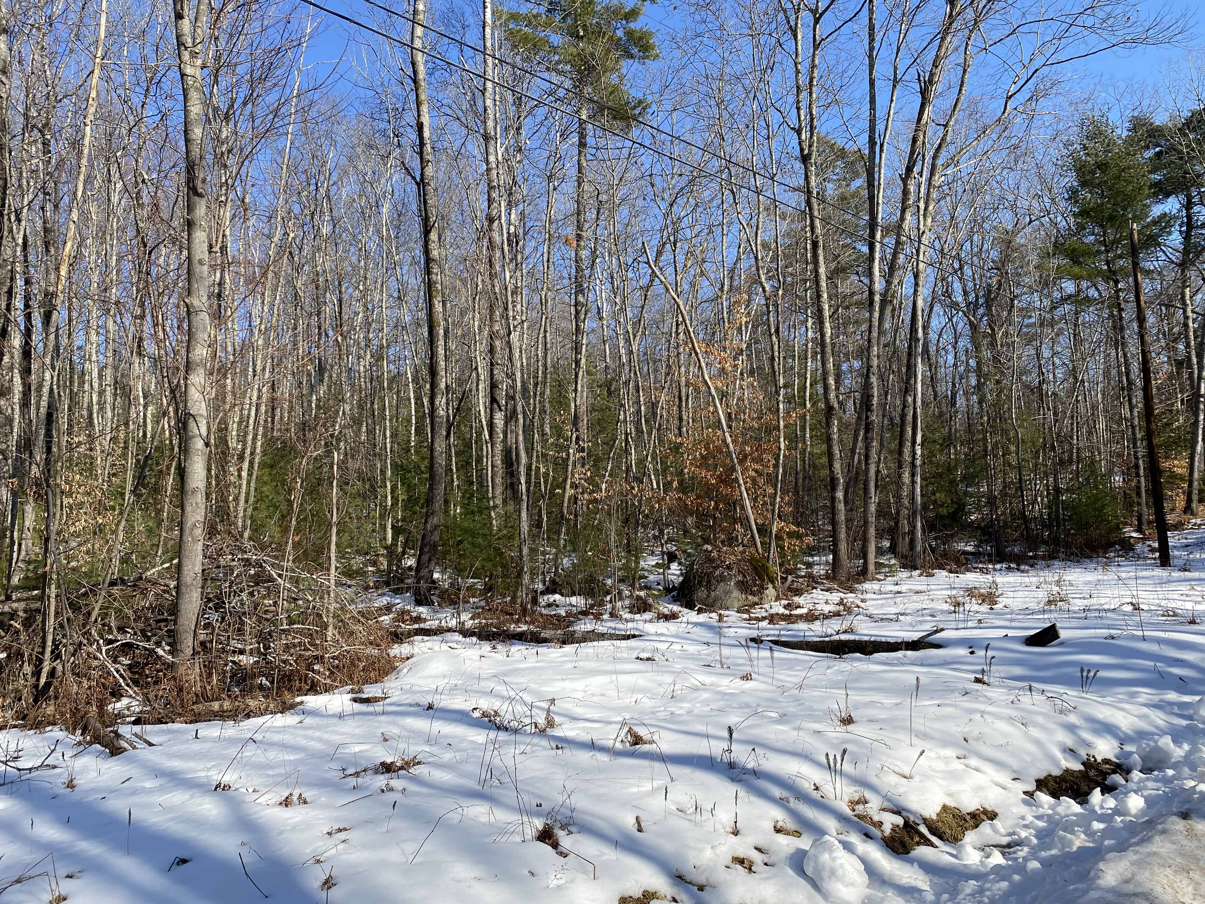Elkins Point Road Moultonborough NH 03254