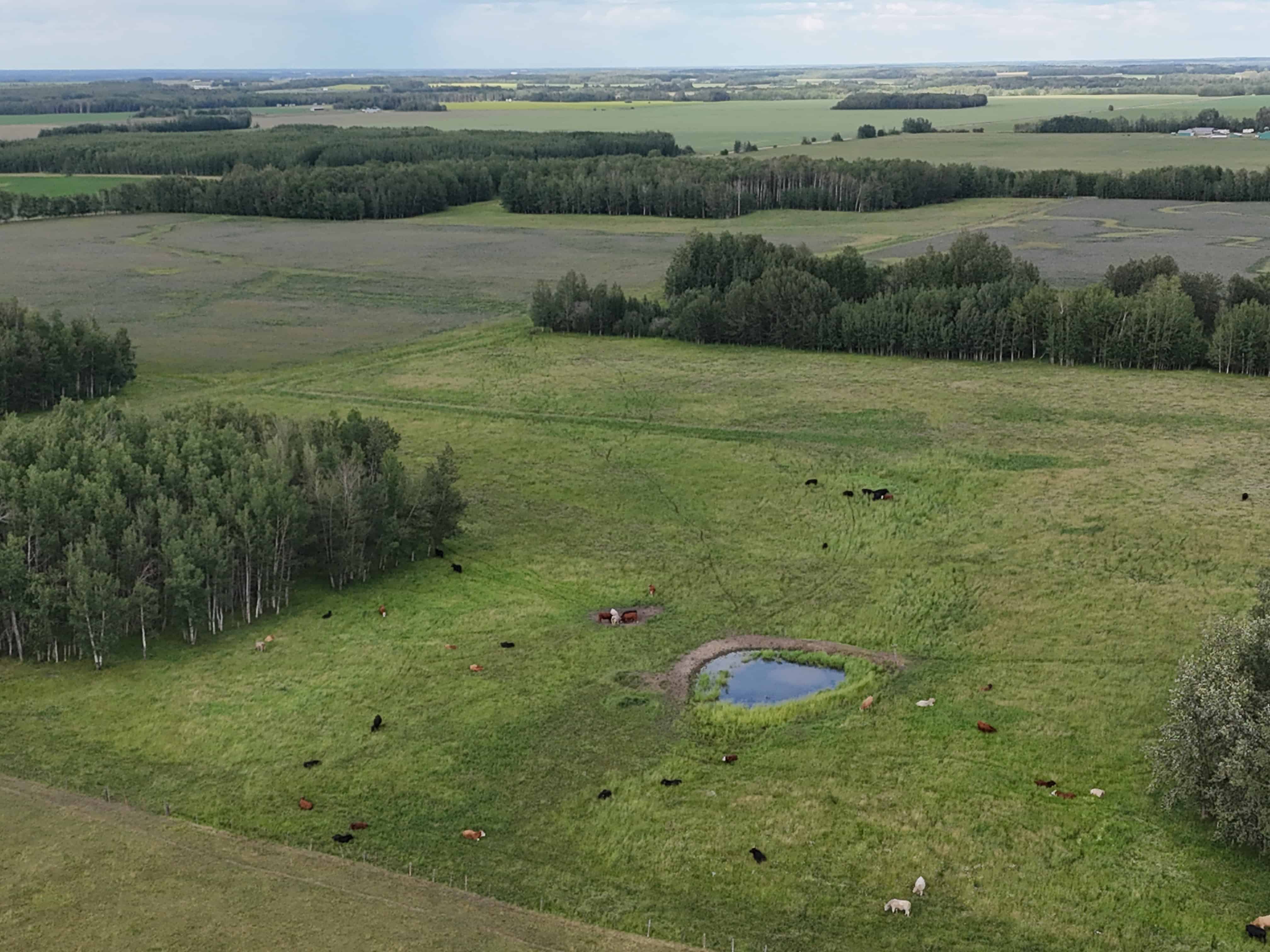 NW 19-48-2-w5 Warburg AB