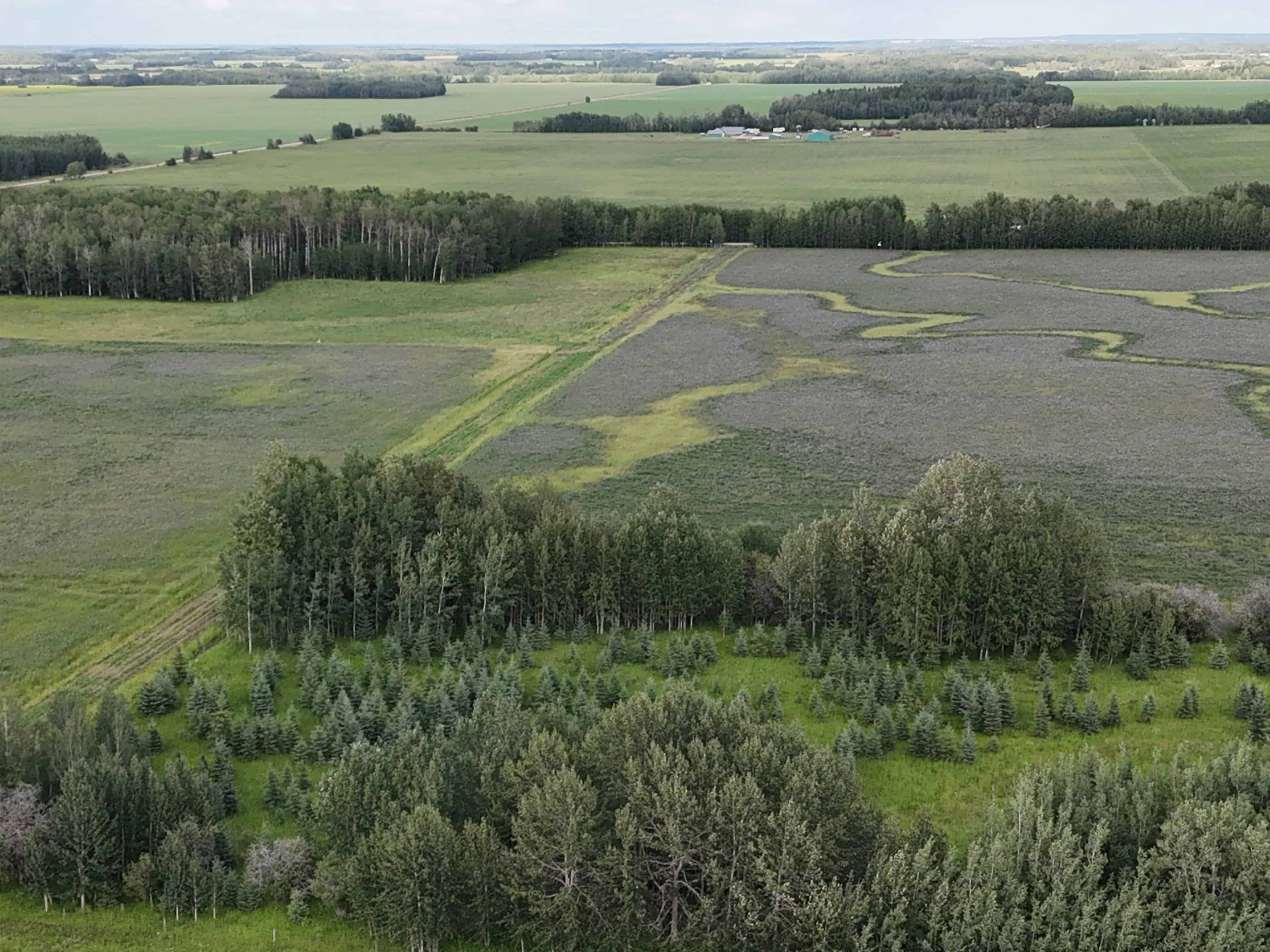 NW 19-48-2-w5 Warburg AB