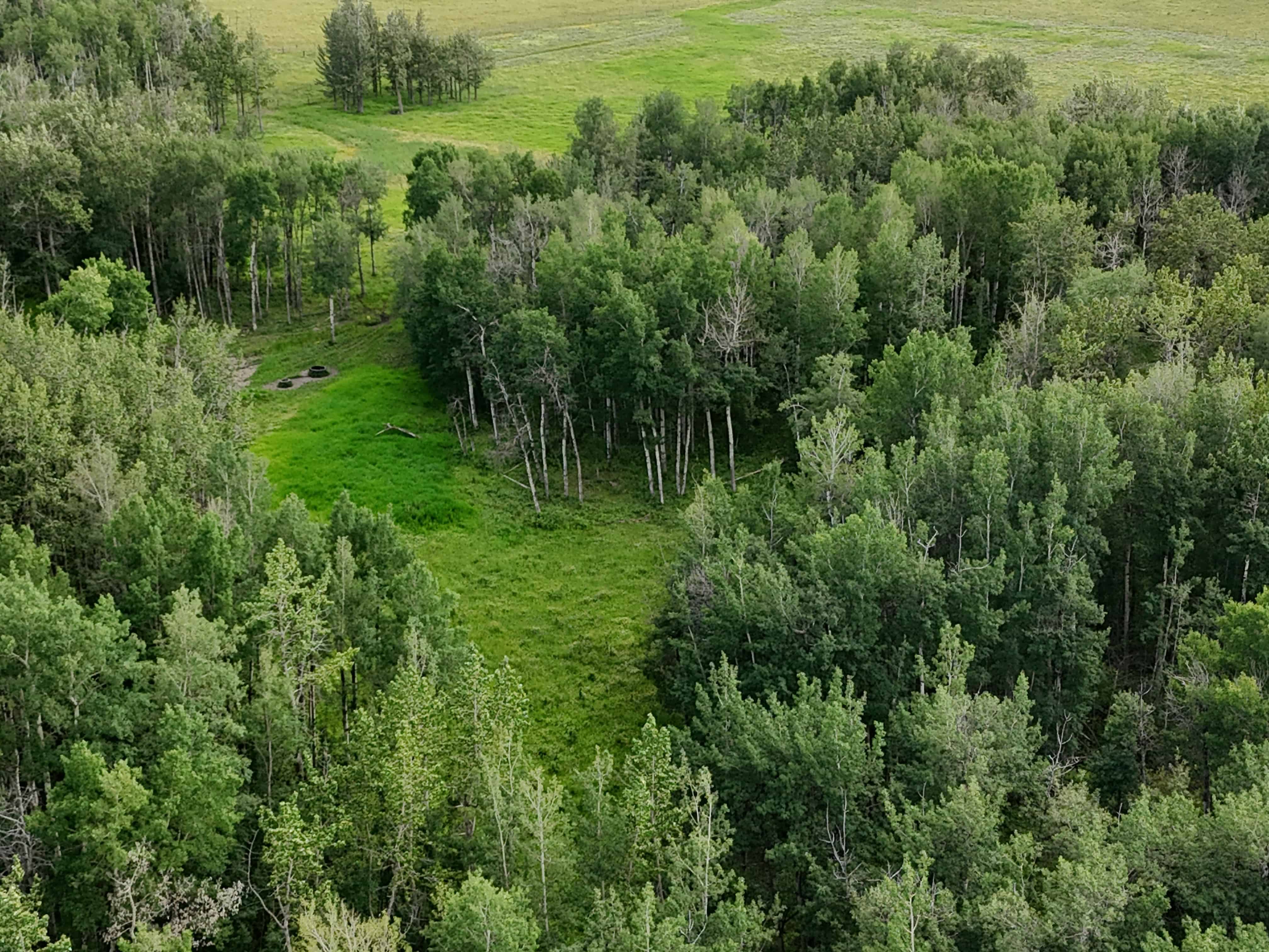 NW 19-48-2-w5 Warburg AB