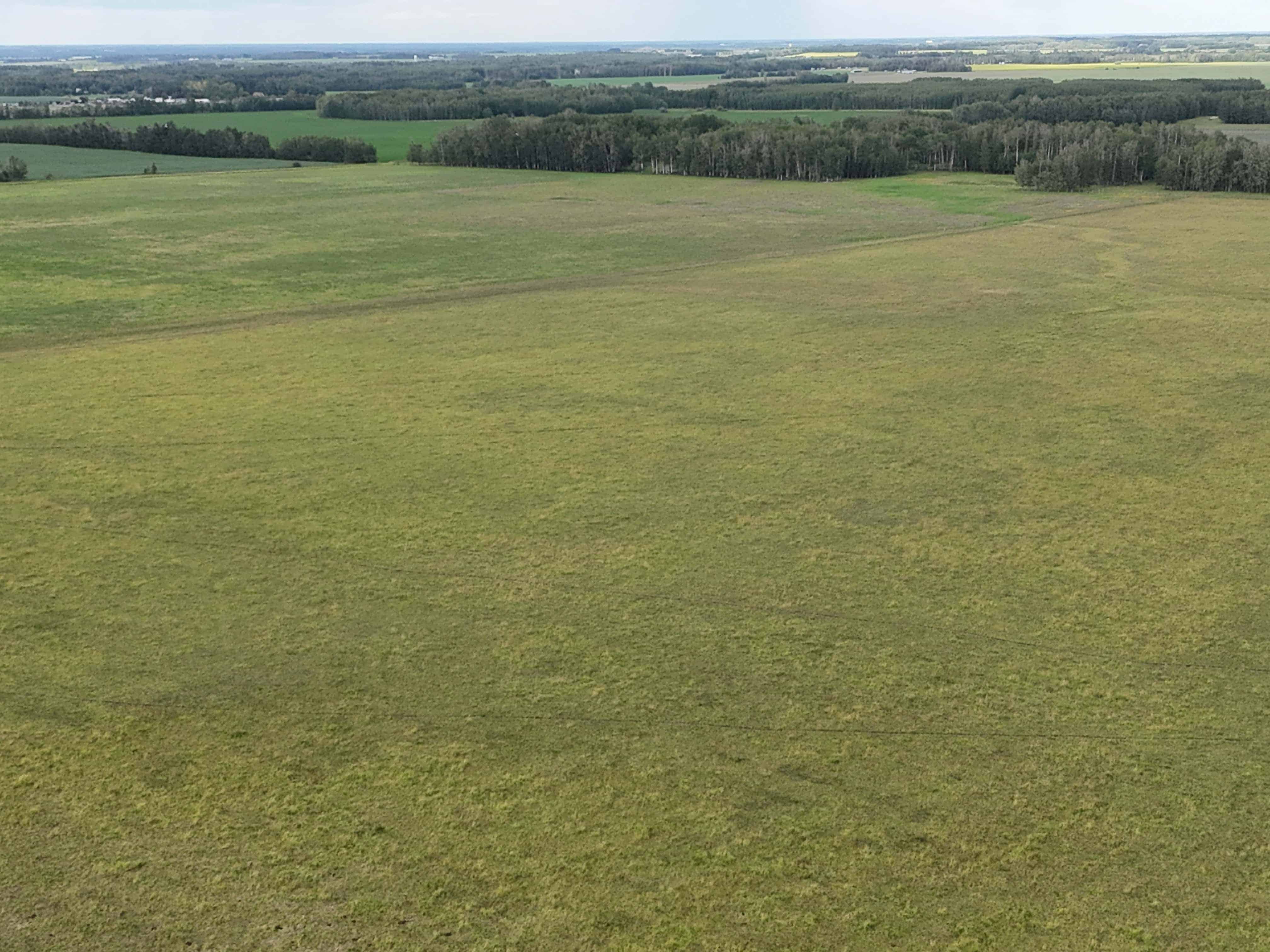 NW 19-48-2-w5 Warburg AB