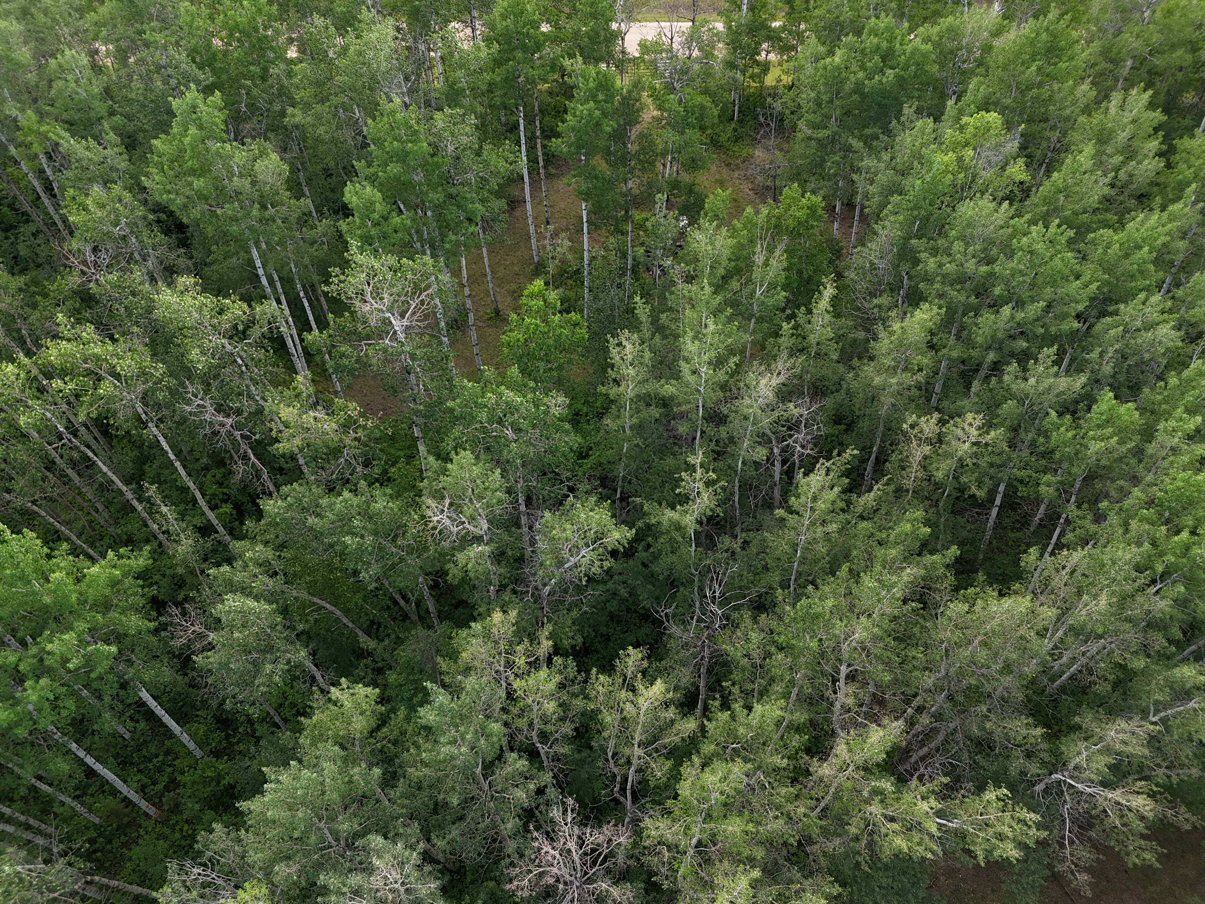 NW 19-48-2-w5 Warburg AB