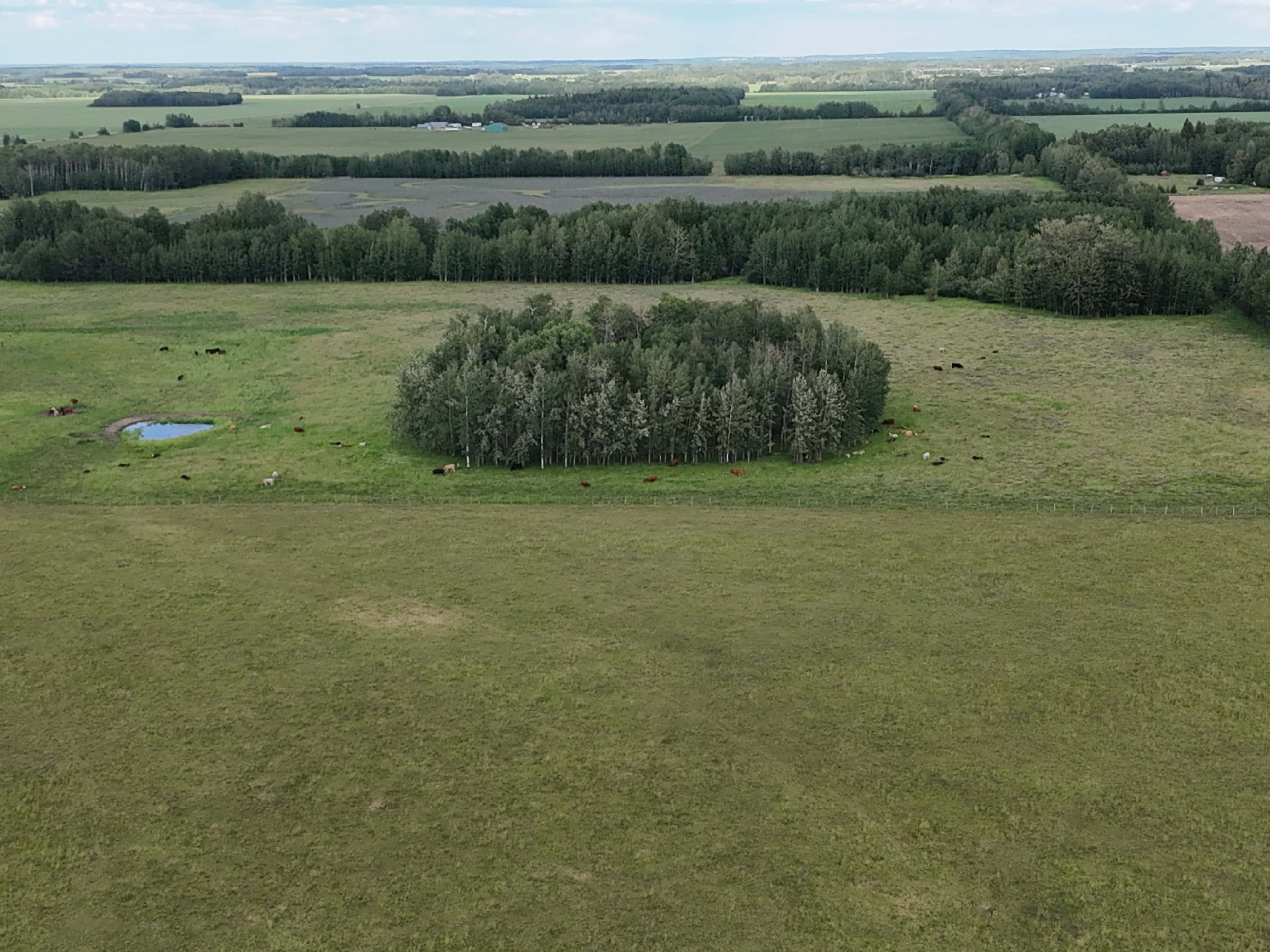 NW 19-48-2-w5 Warburg AB