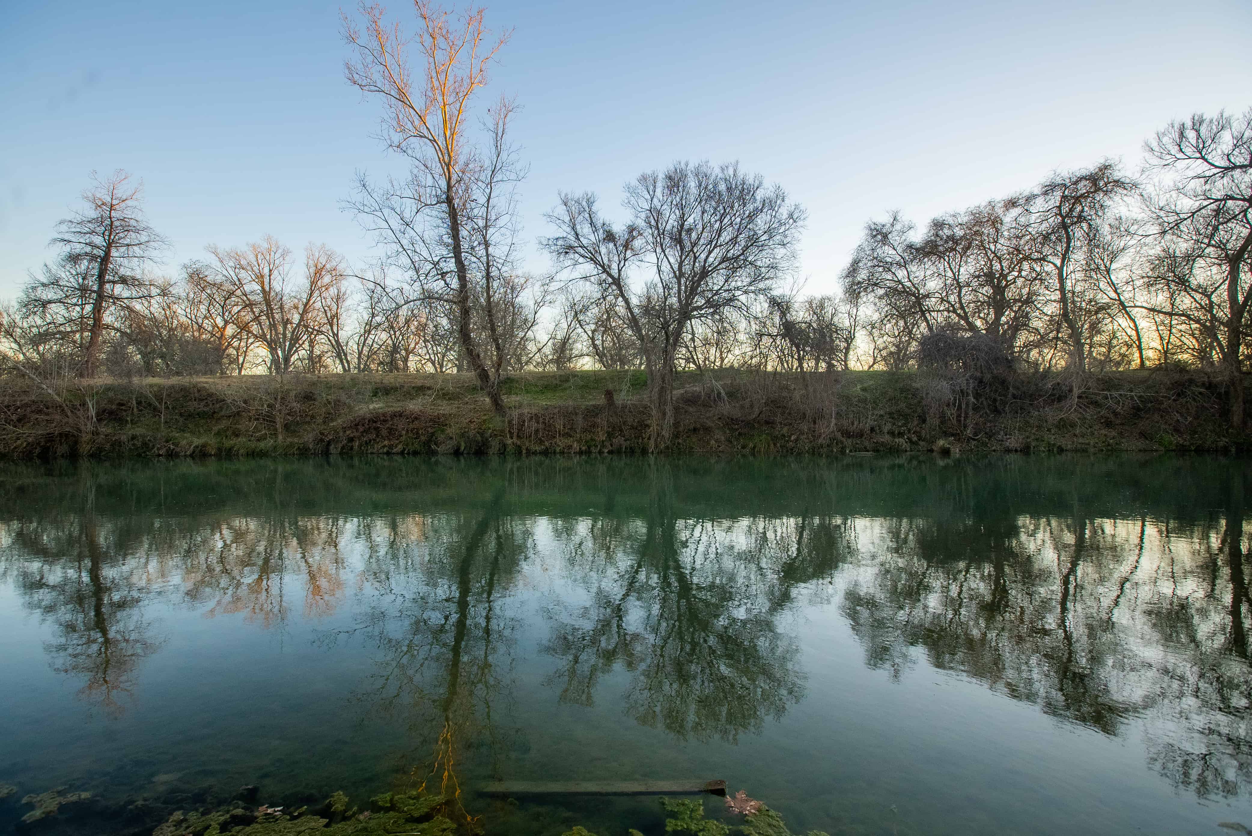 Prime Guadalupe River Frontage Stunning 184+/ Acre Ranch near Seguin, TX