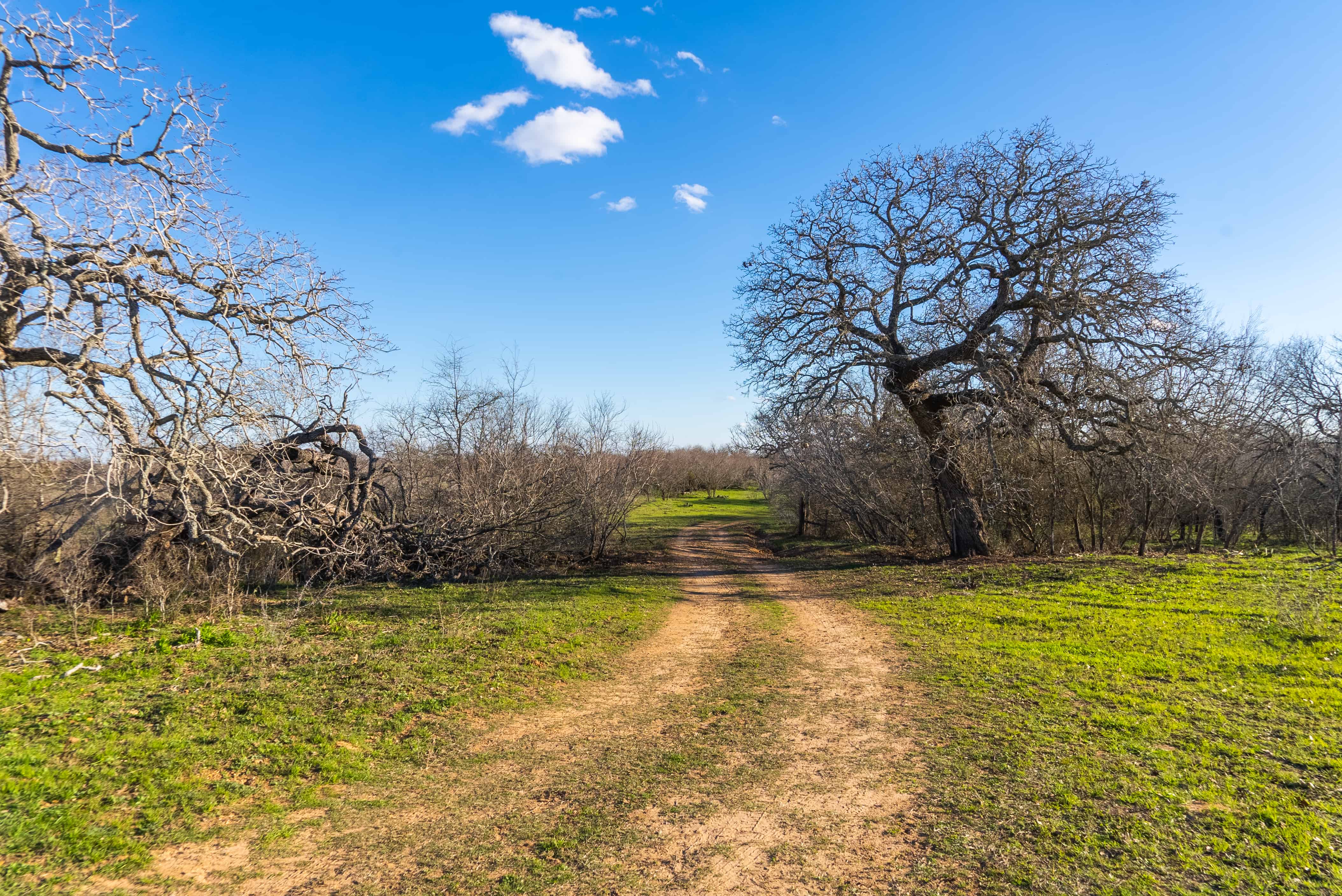 Prime Guadalupe River Frontage Stunning 184+/ Acre Ranch near Seguin, TX