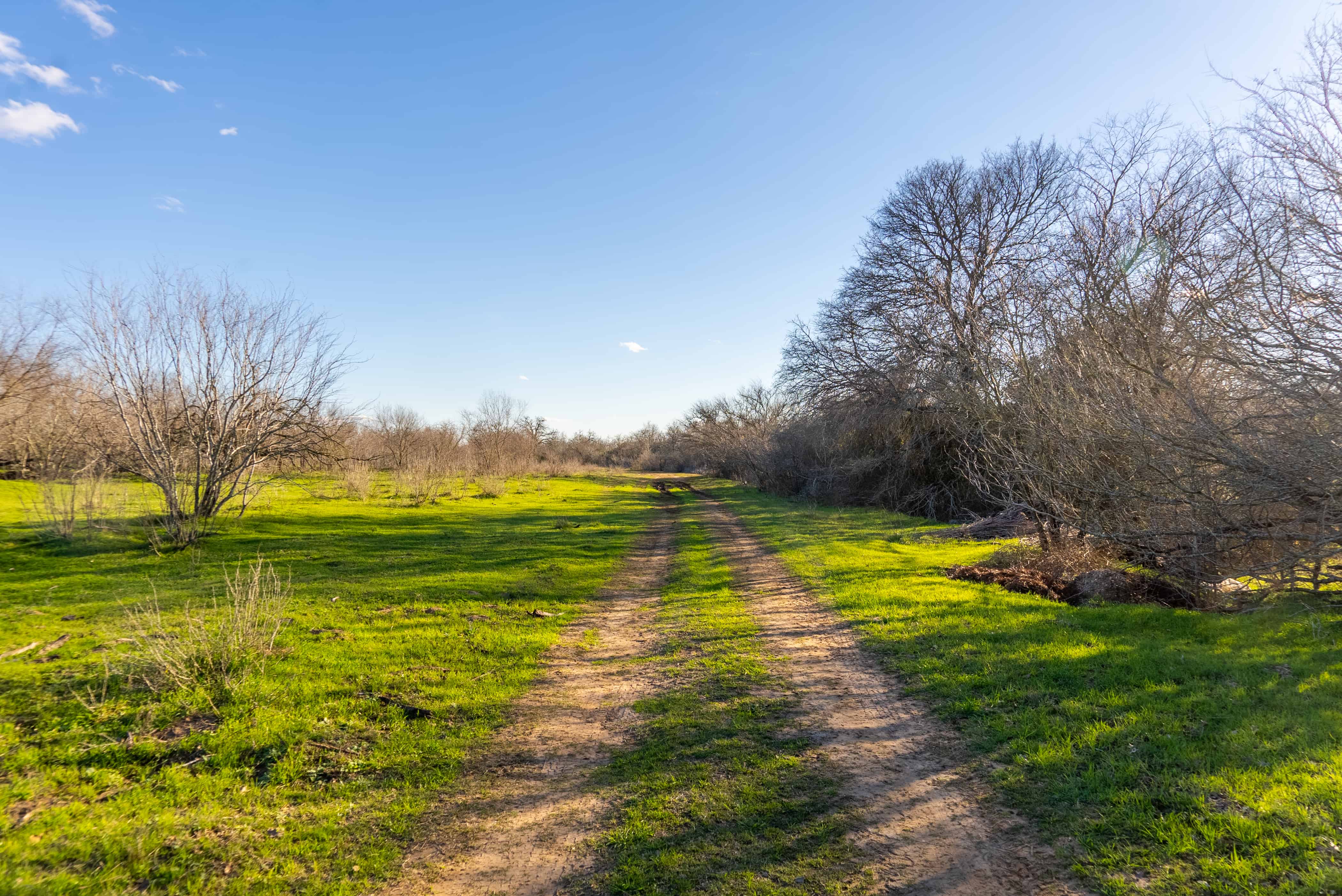 Prime Guadalupe River Frontage Stunning 184+/ Acre Ranch near Seguin, TX