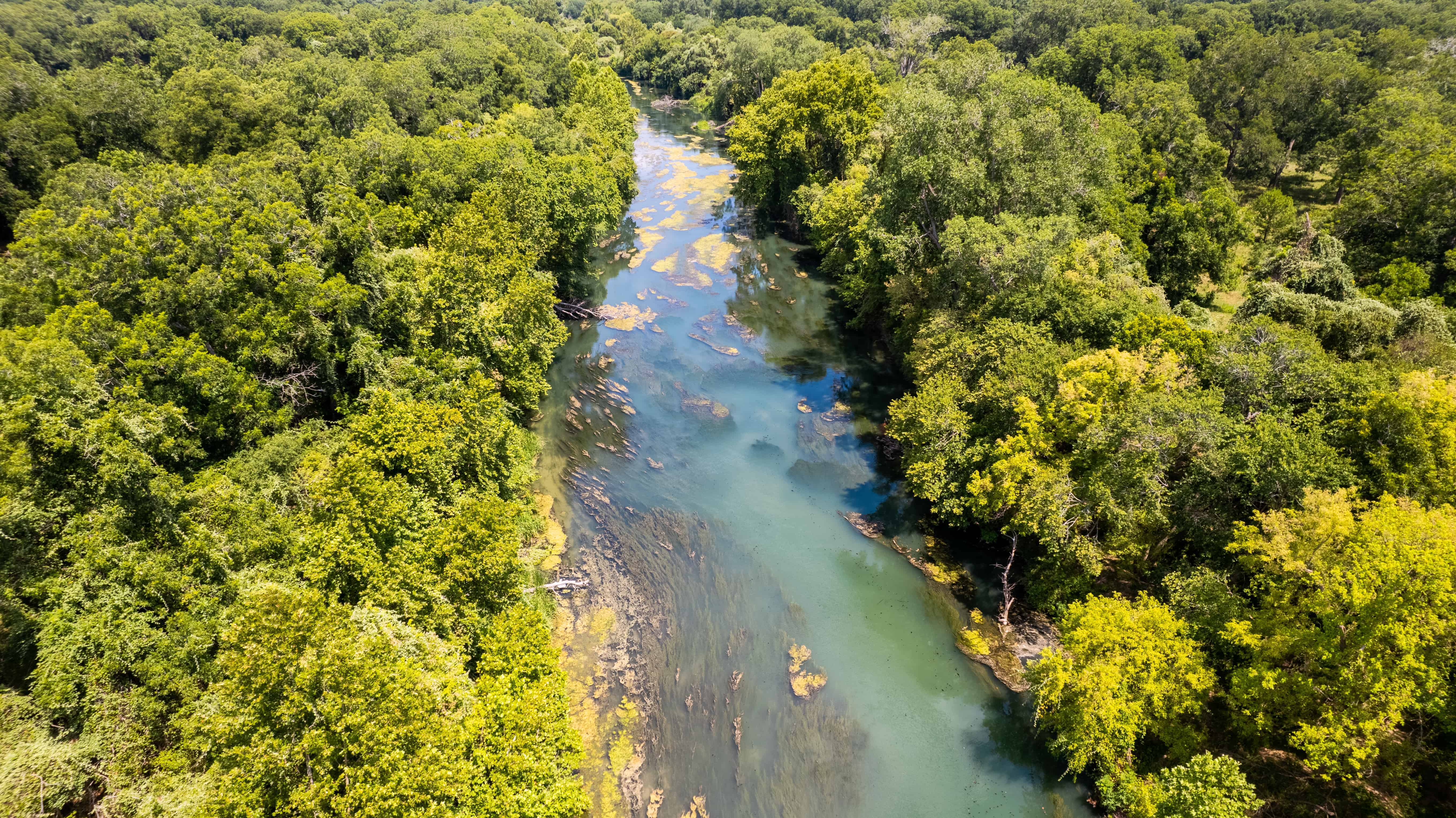 Prime Guadalupe River Frontage Stunning 184+/ Acre Ranch near Seguin, TX