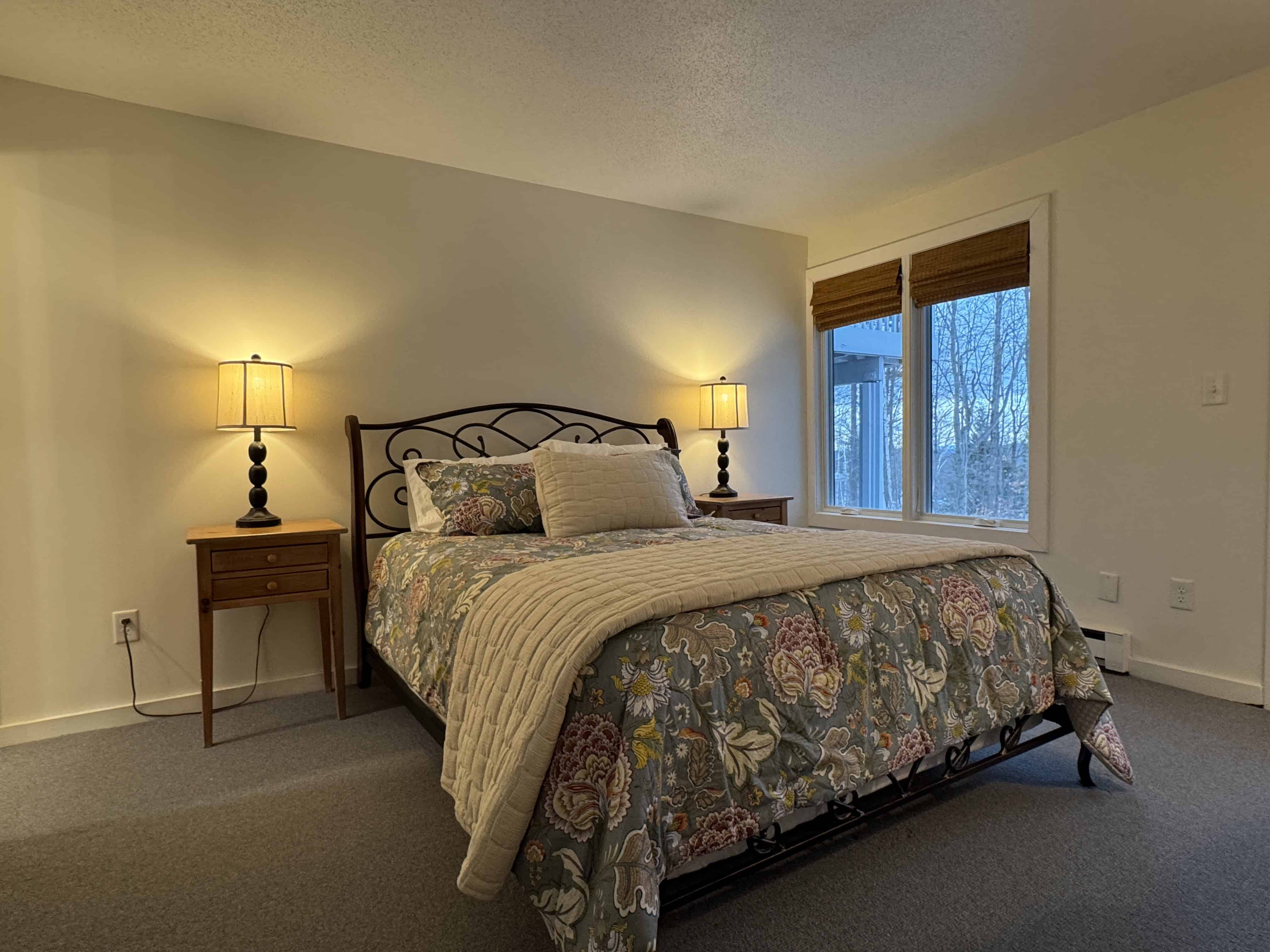 Styles Branch Road Stratton VT 05155