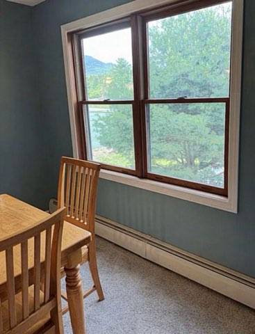 85 Riverfront Drive Woodstock NH 03262