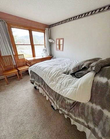 85 Riverfront Drive Woodstock NH 03262