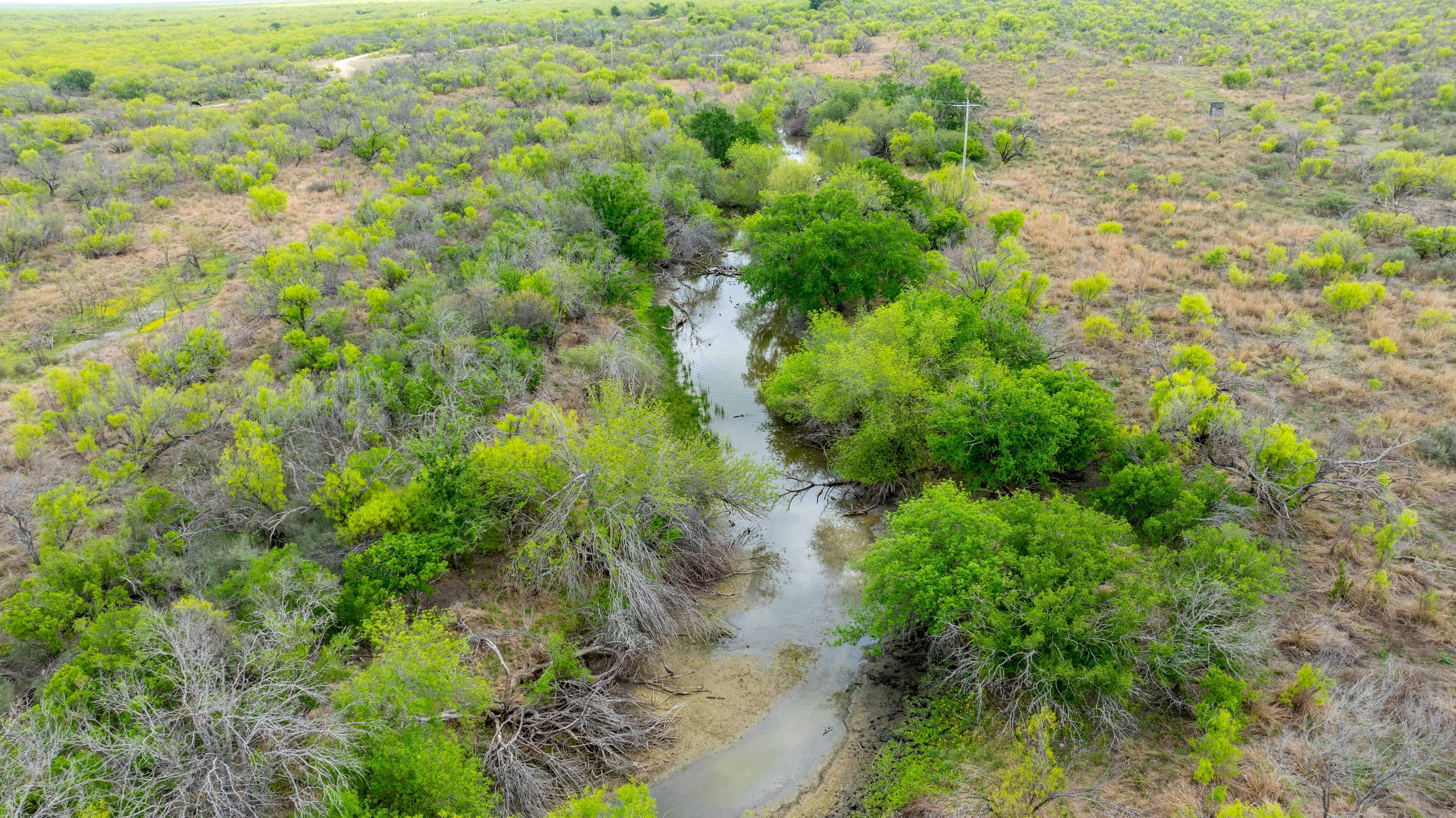 Fm 1668 Crystal City TX