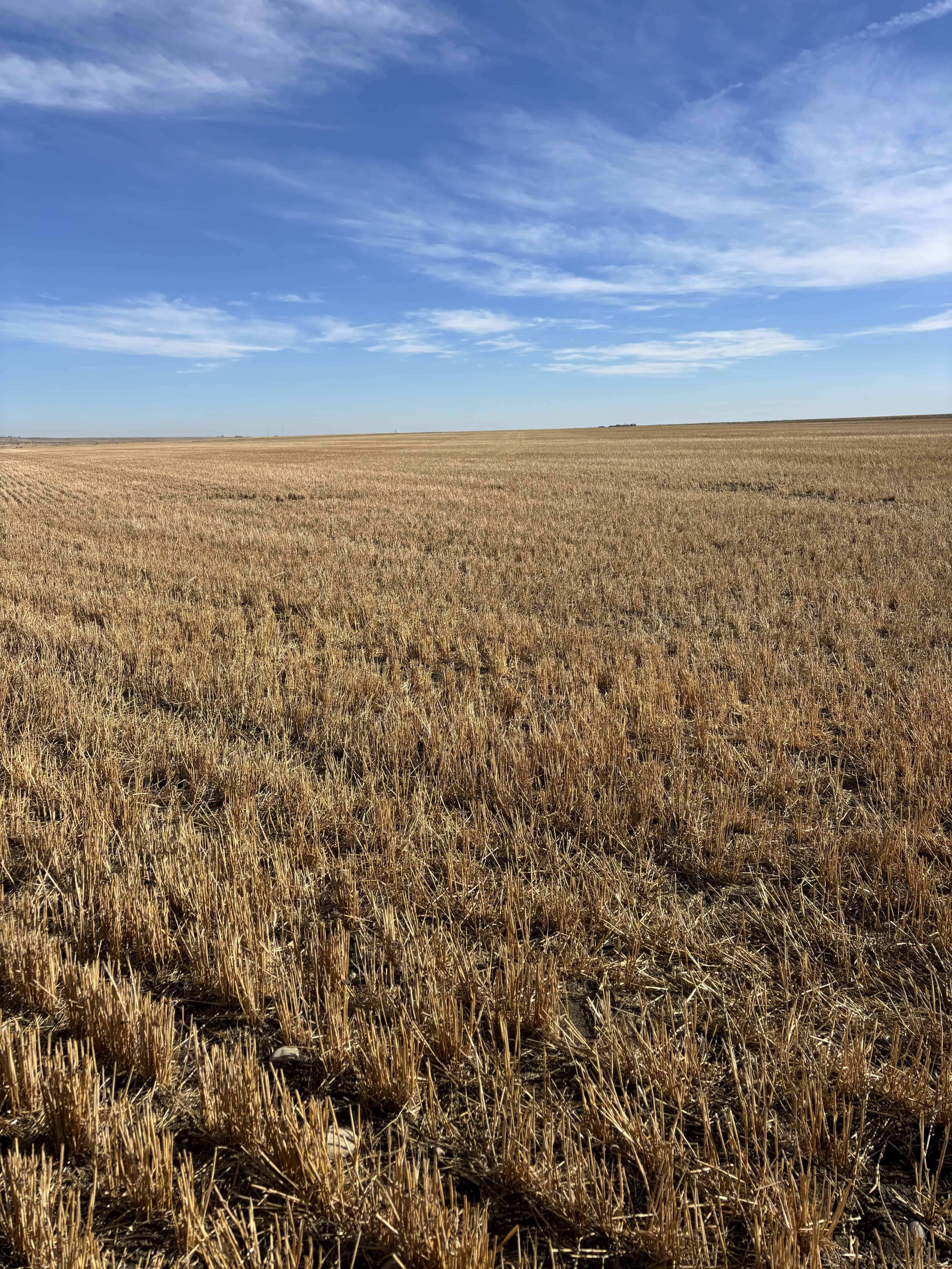 Part Of NE 33-11-22 W4 Barons AB