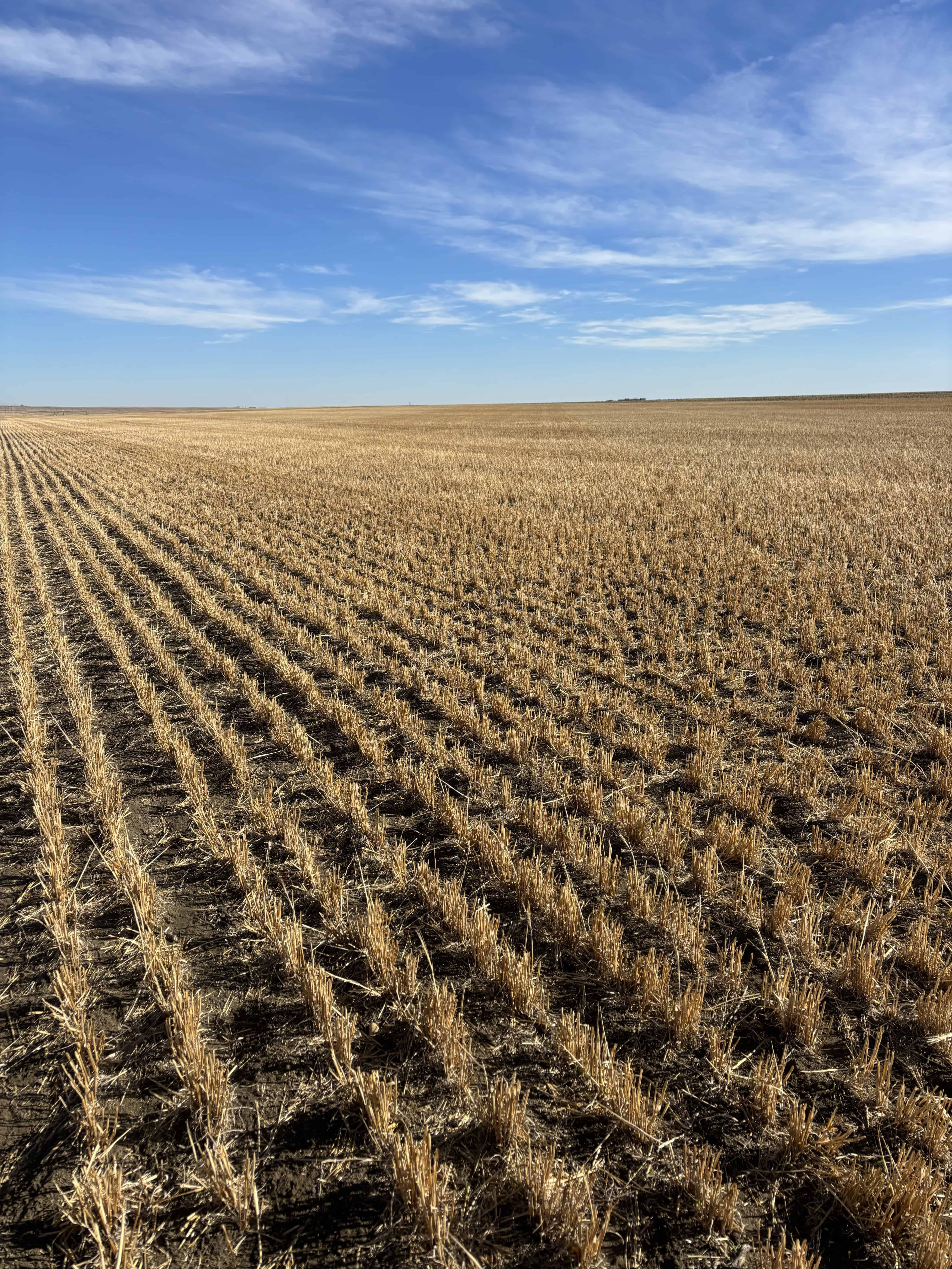 Part Of NE 33-11-22 W4 Barons AB