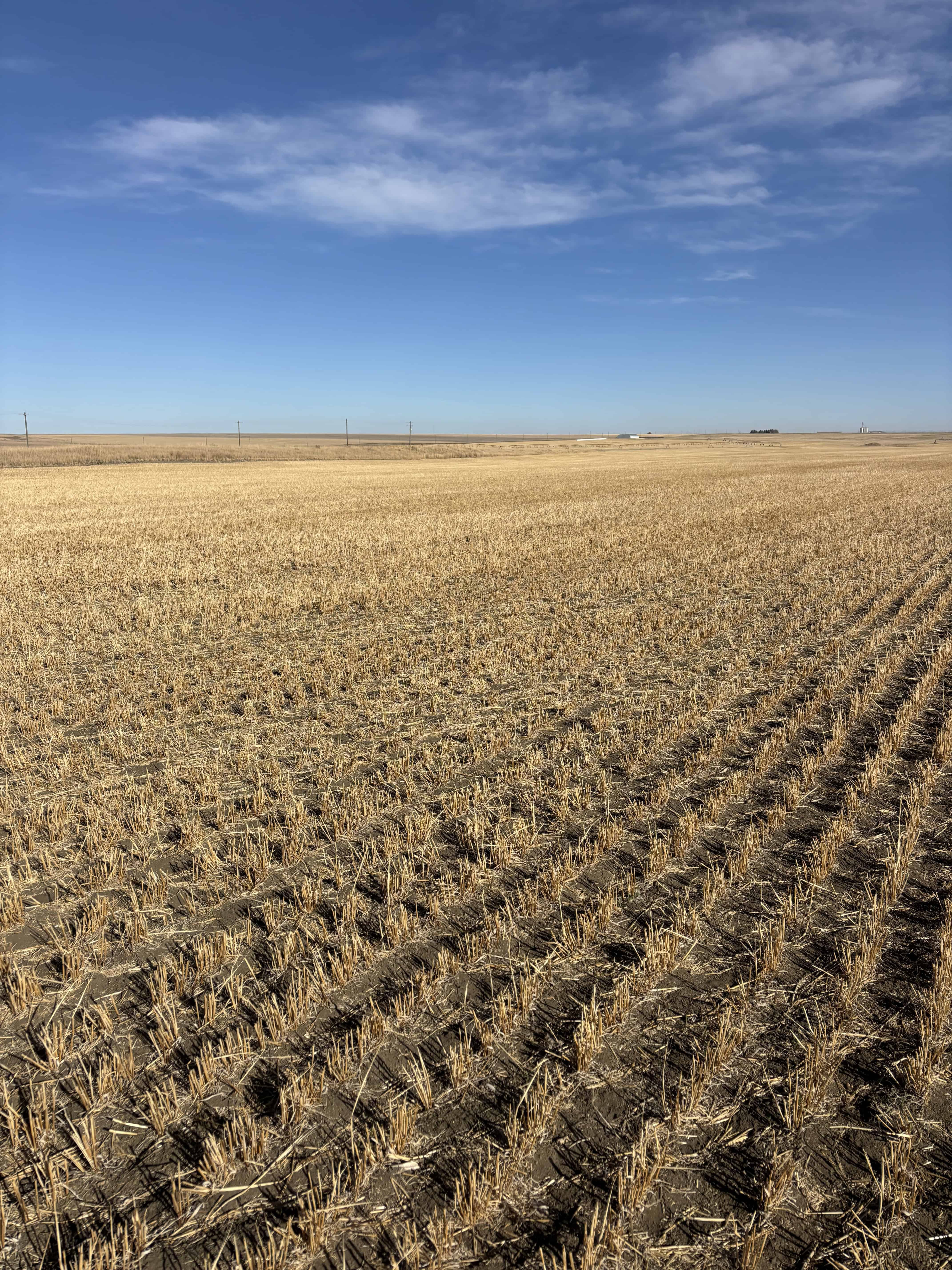 Part Of NE 33-11-22 W4 Barons AB