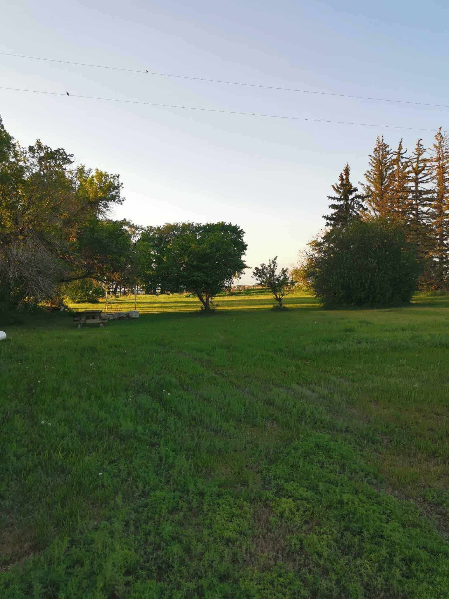 162 Hays Rd 30 N Hays AB T0K1B0