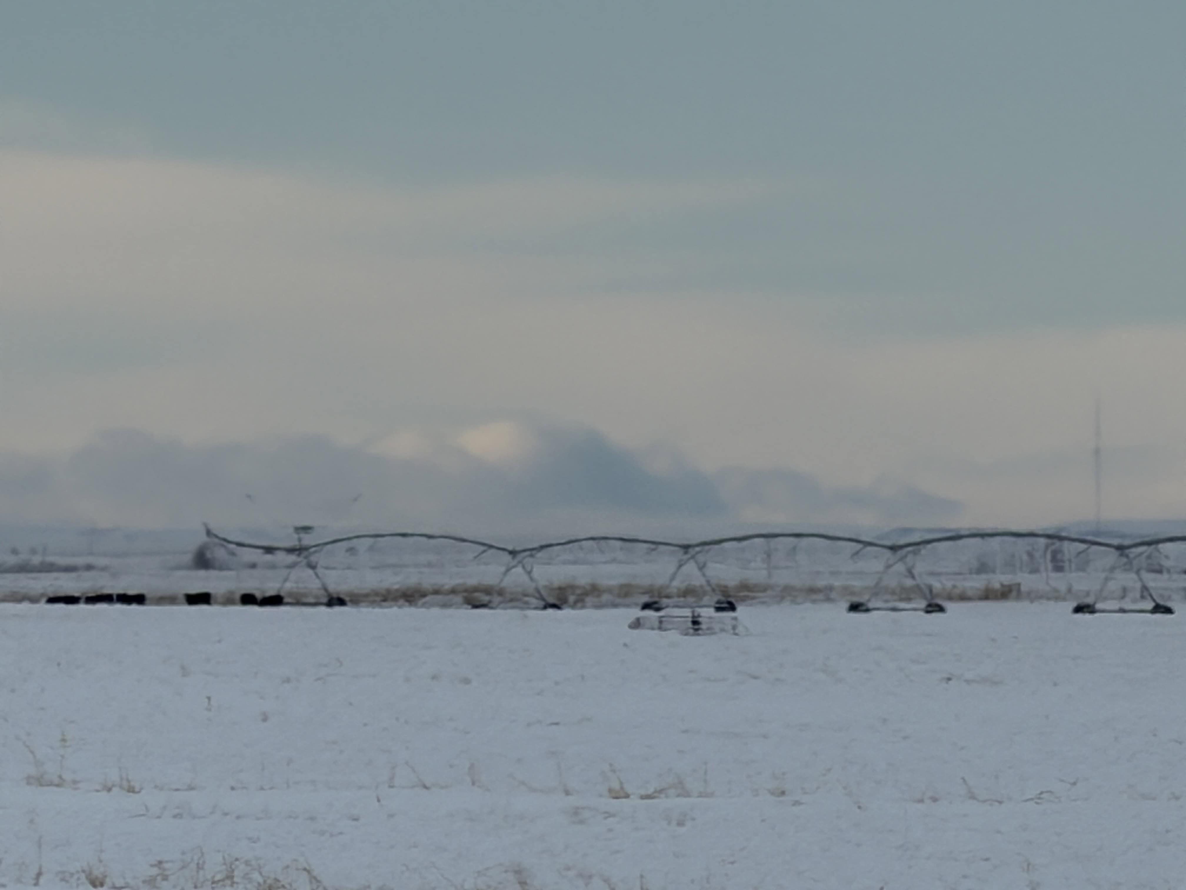 Range Road 155 Duchess AB