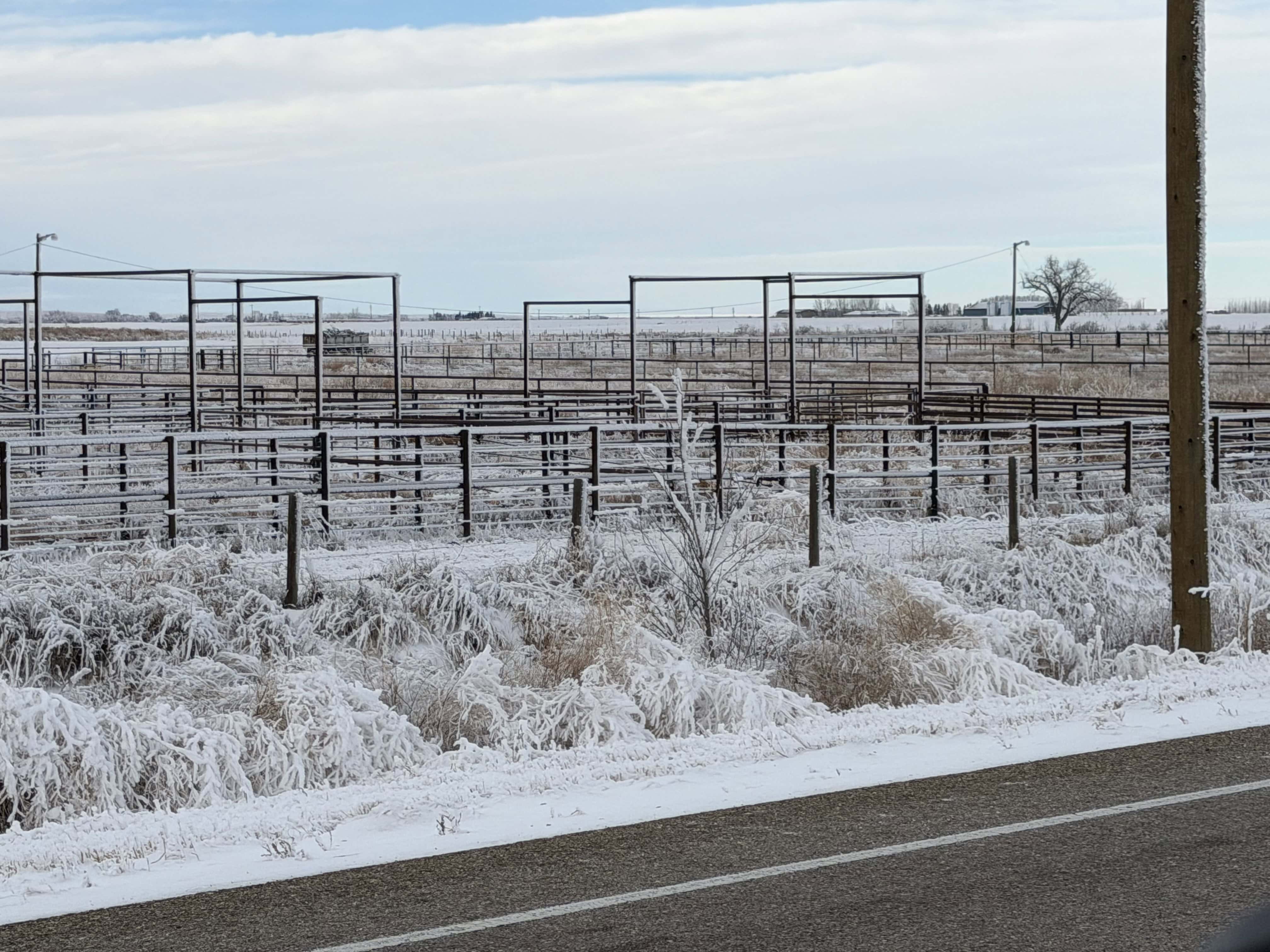 Range Road 155 Duchess AB