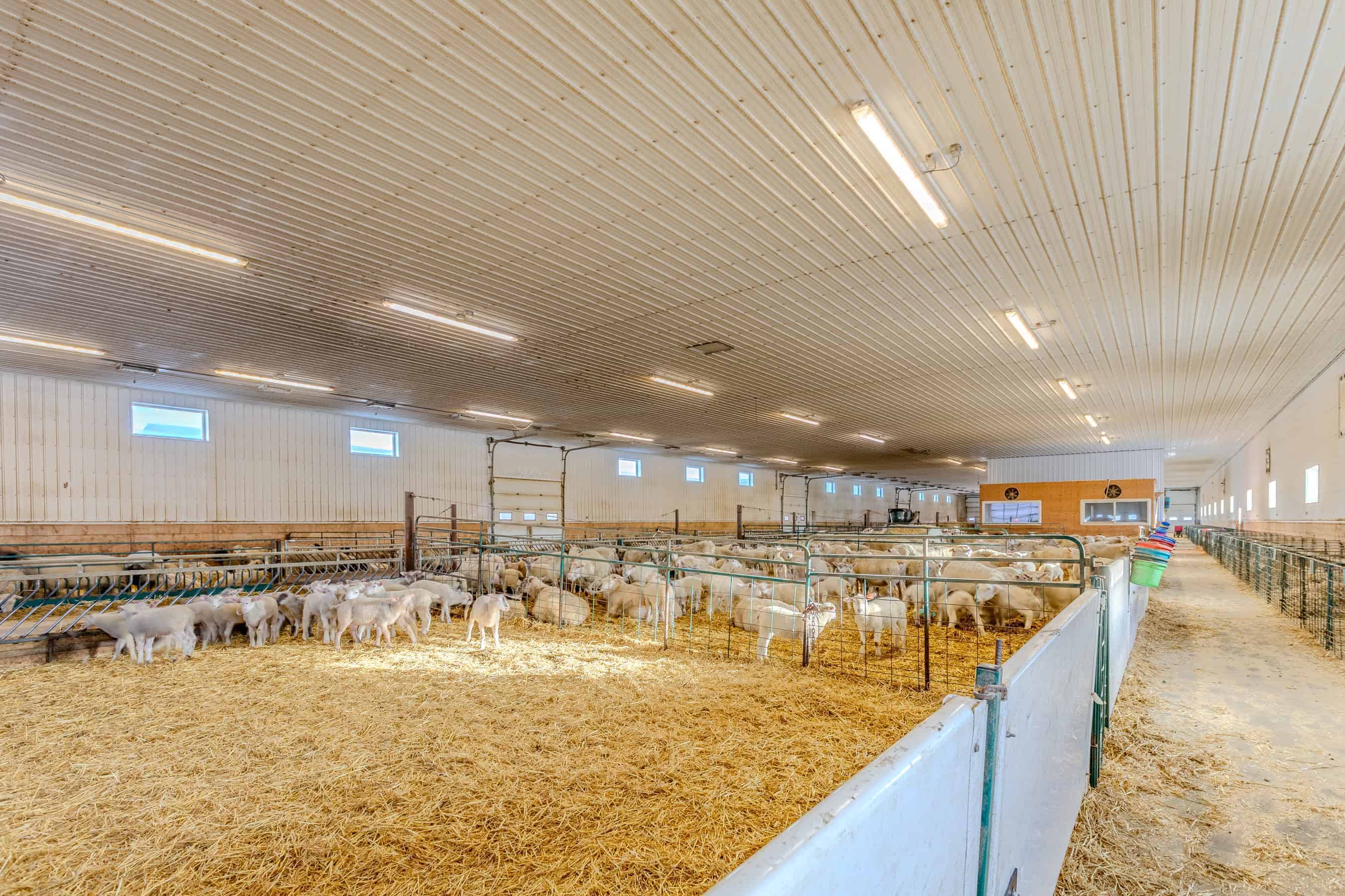 Ponoka AB T4J 1R1