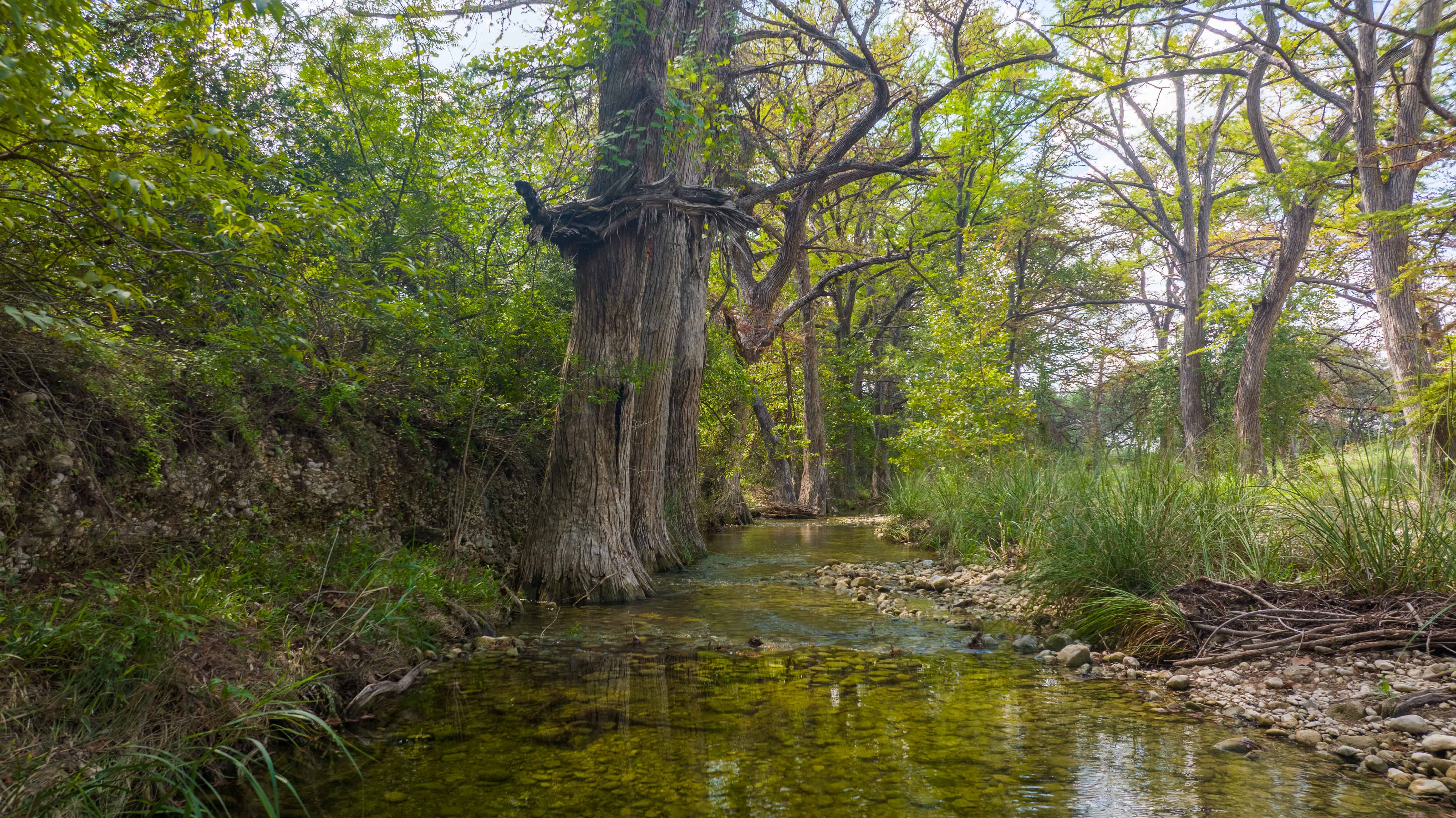 Utopia TX