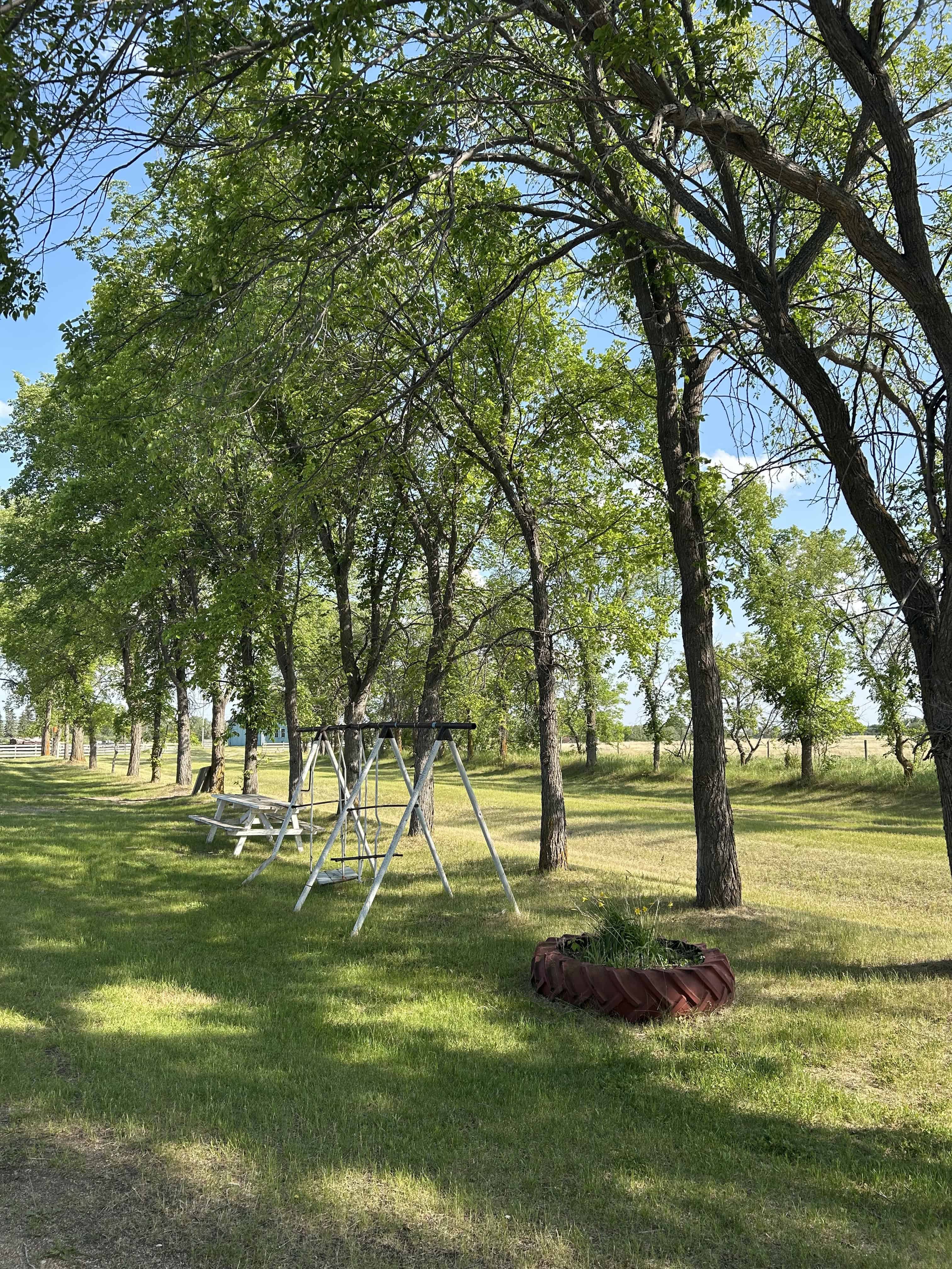 534059 Range Road 34 Dewberry AB T0B 1G0