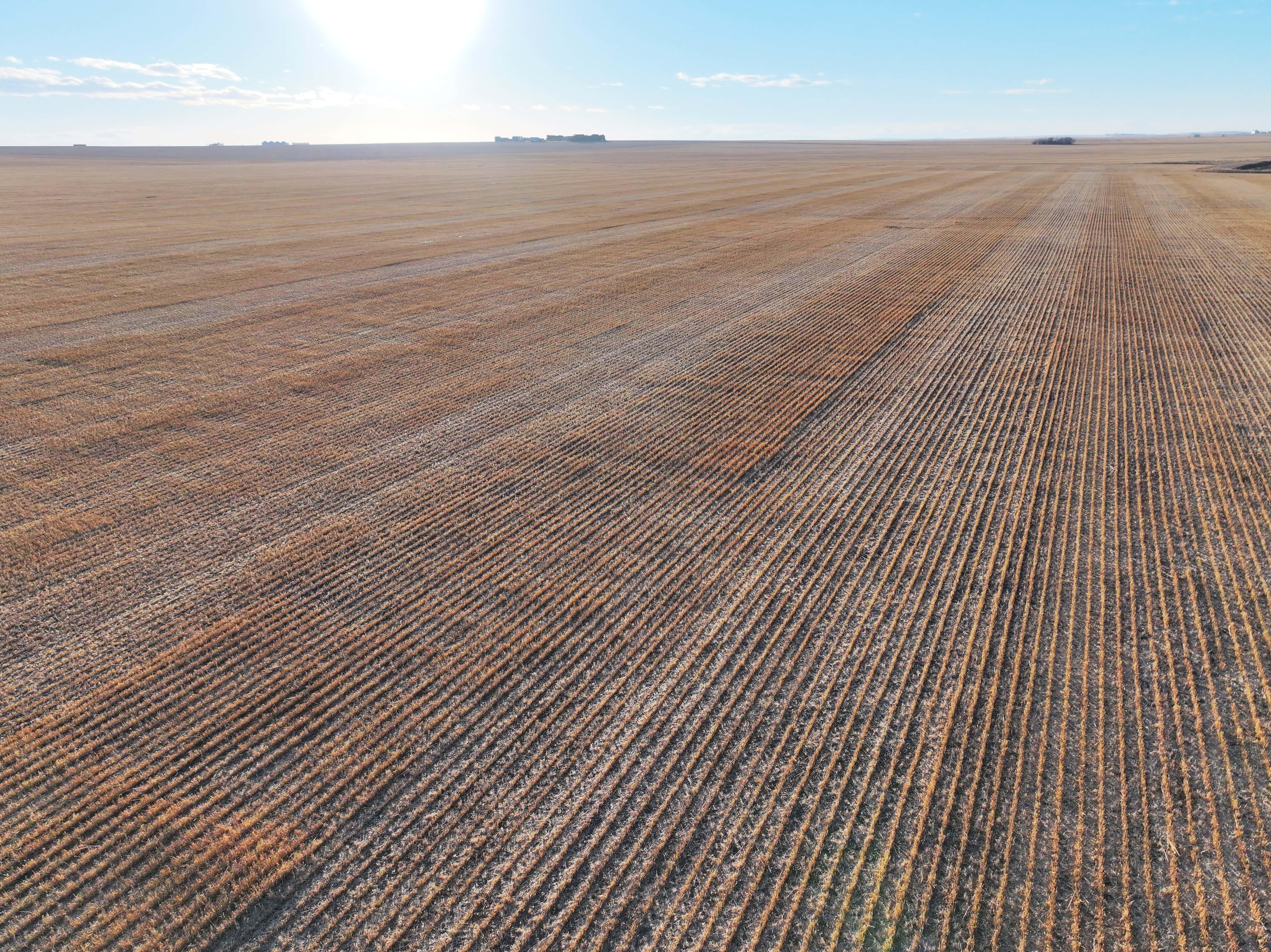NE 36-22-22-w4, SW 7-23-21-w4, NW 6-23-21-w4 Gleichen AB