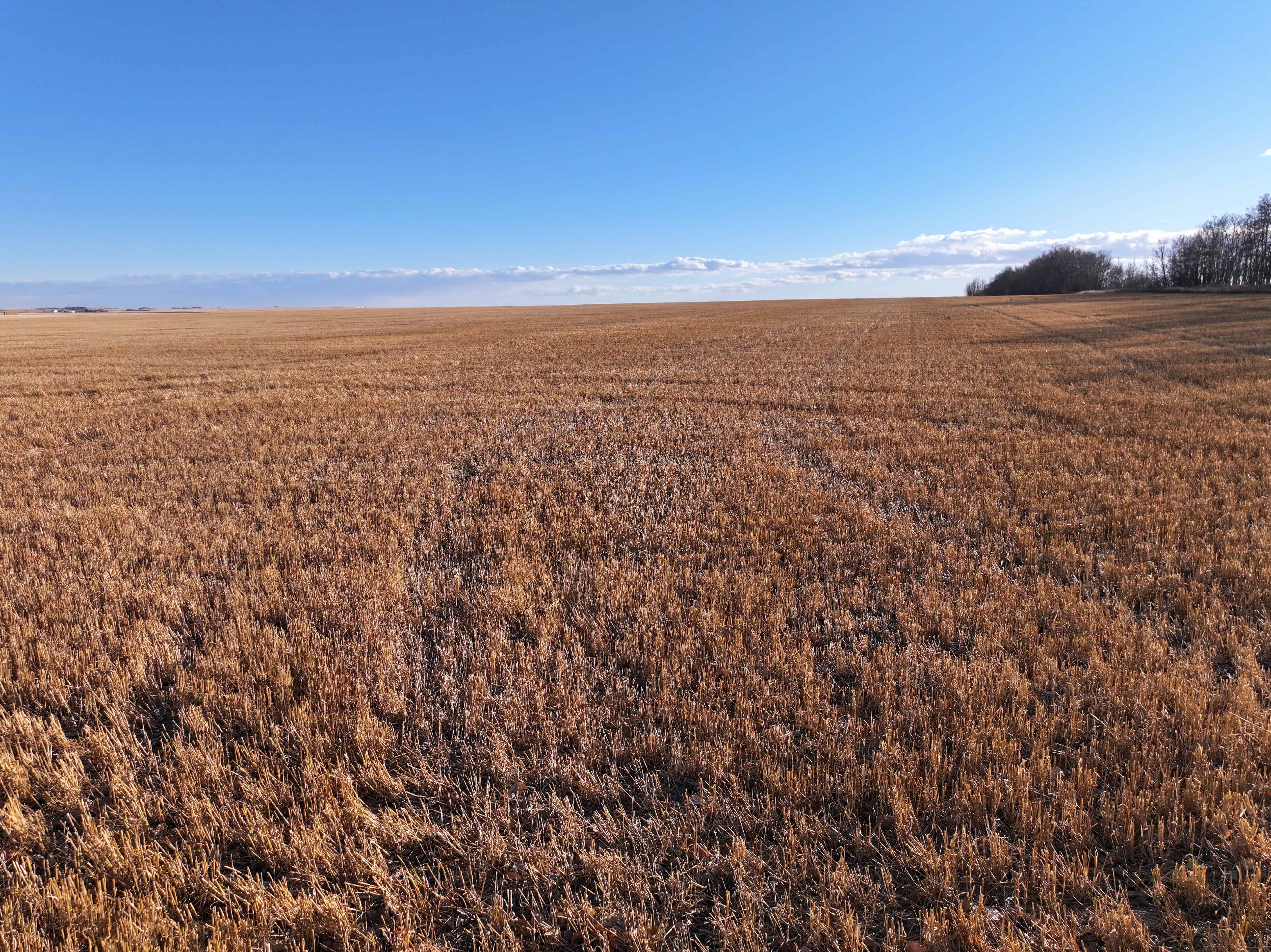 NE 36-22-22-w4, SW 7-23-21-w4, NW 6-23-21-w4 Gleichen AB