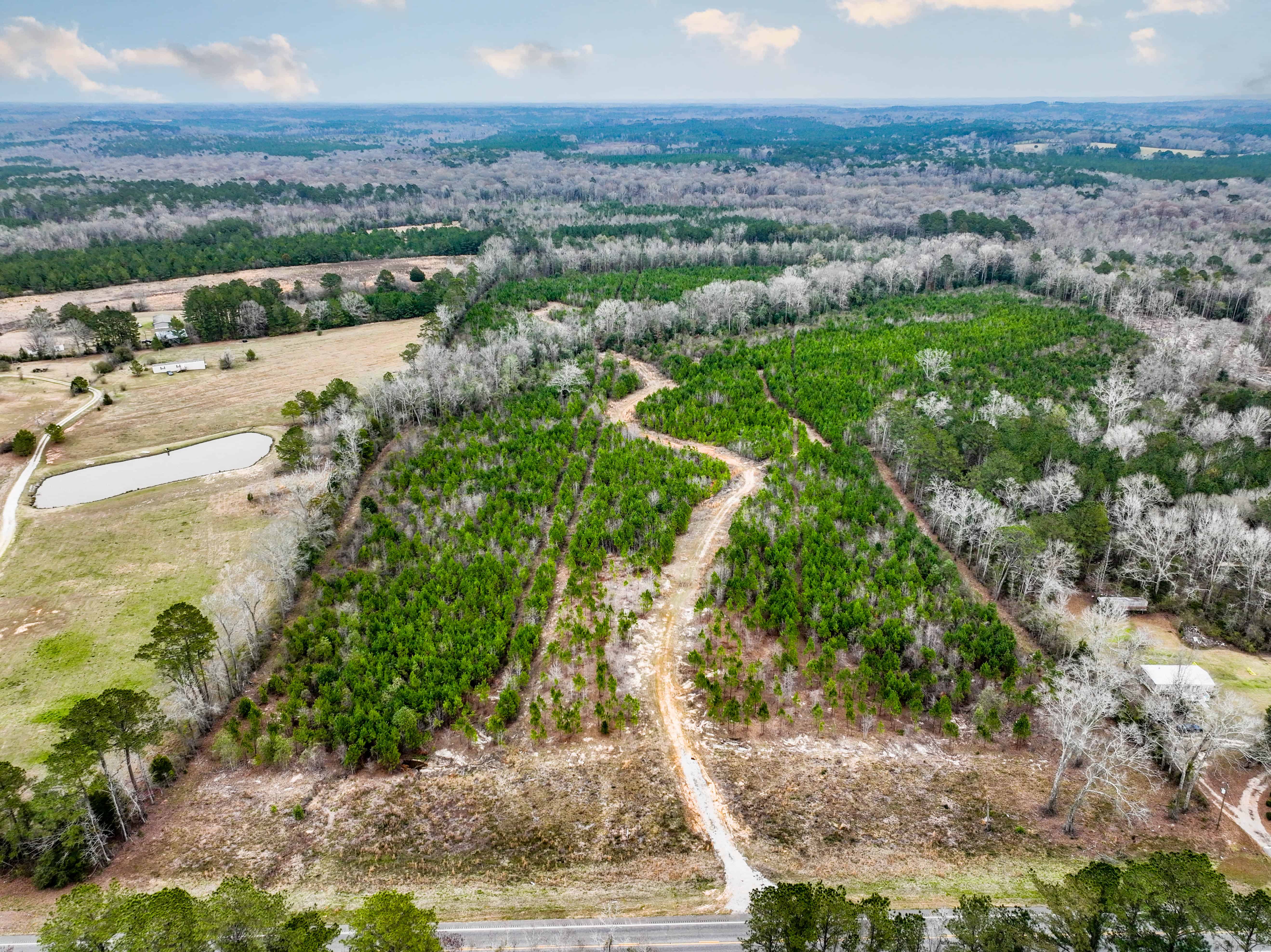 Highway 167 Jack AL 36346