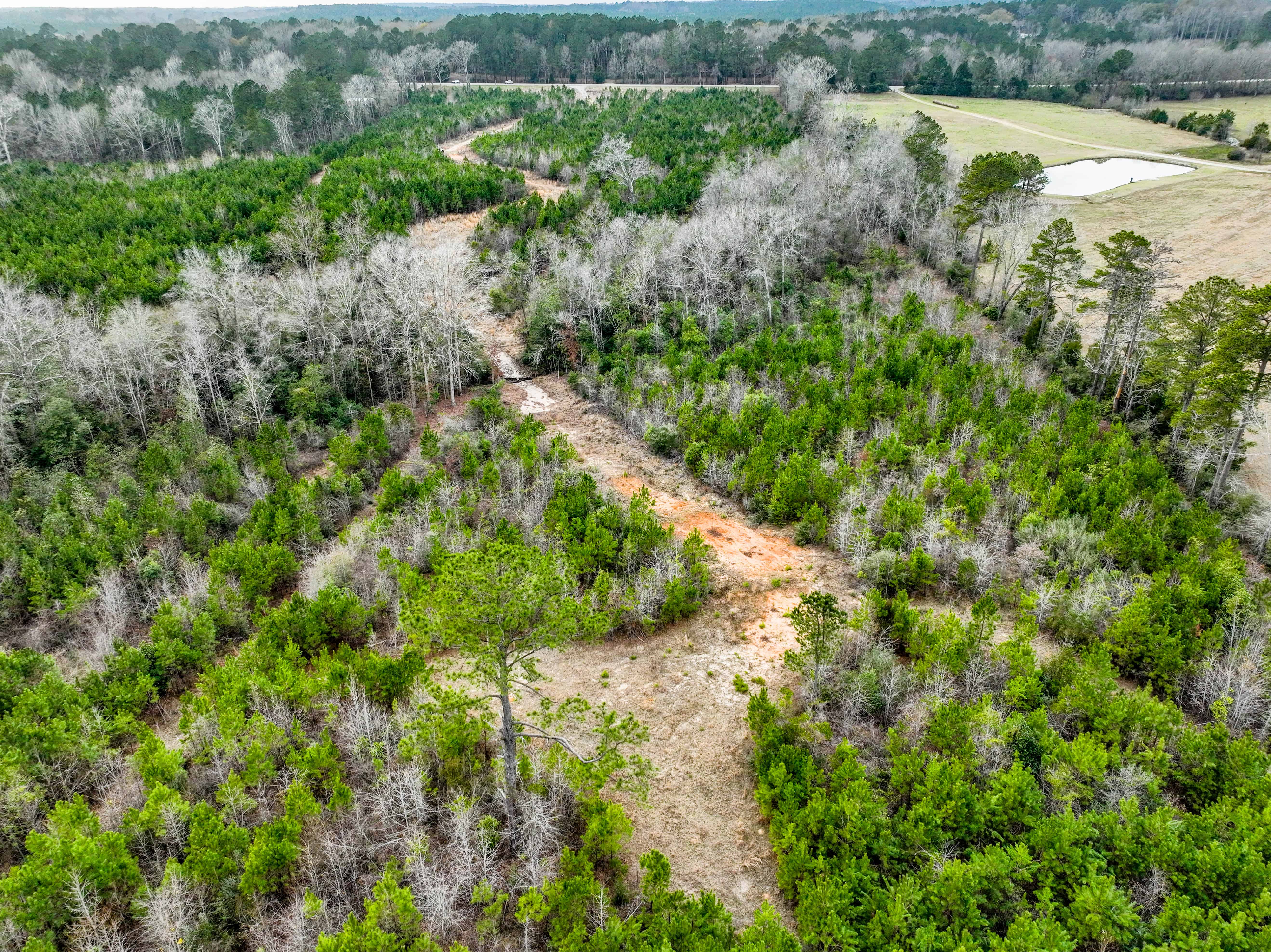 Highway 167 Jack AL 36346