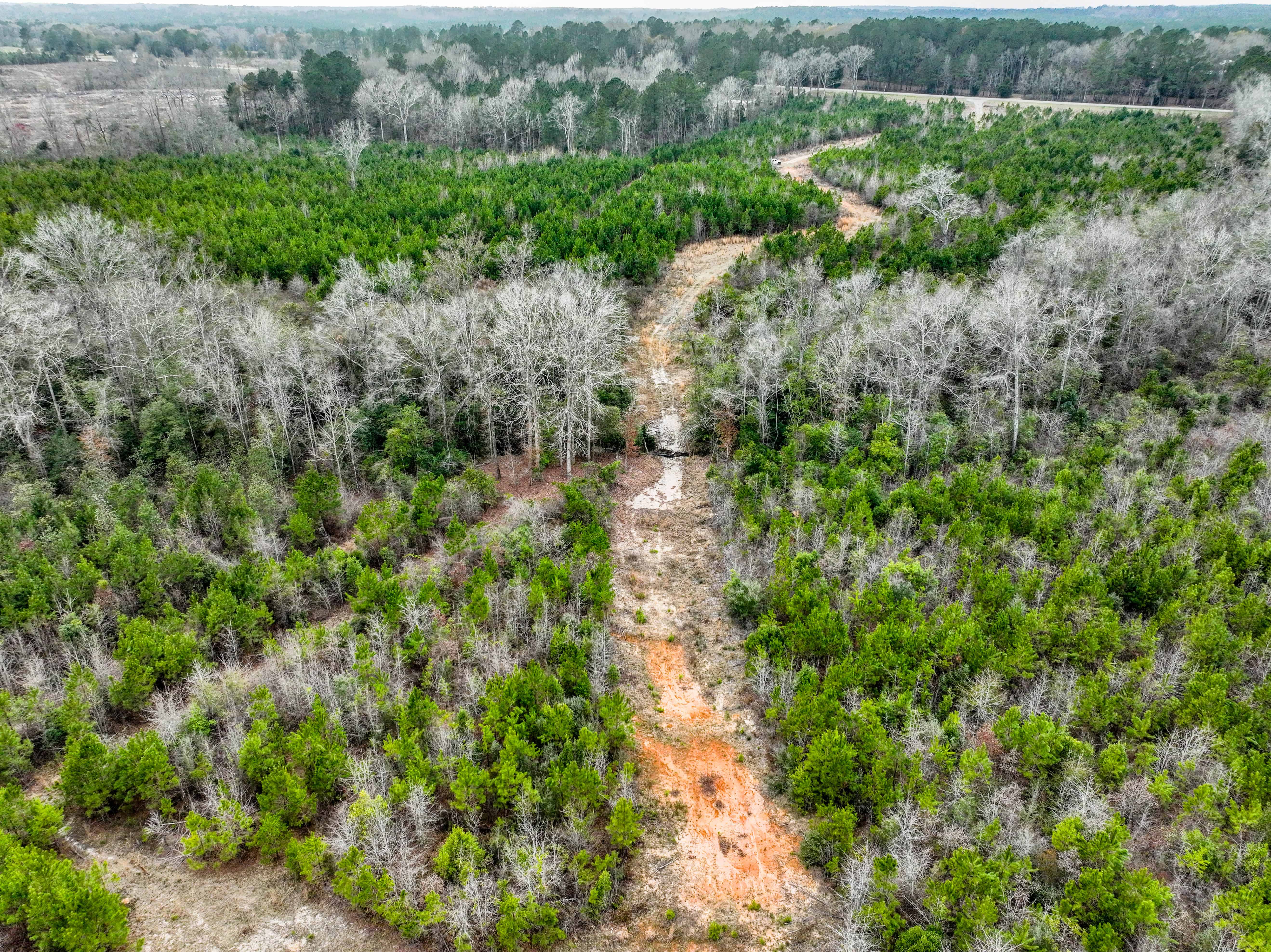Highway 167 Jack AL 36346