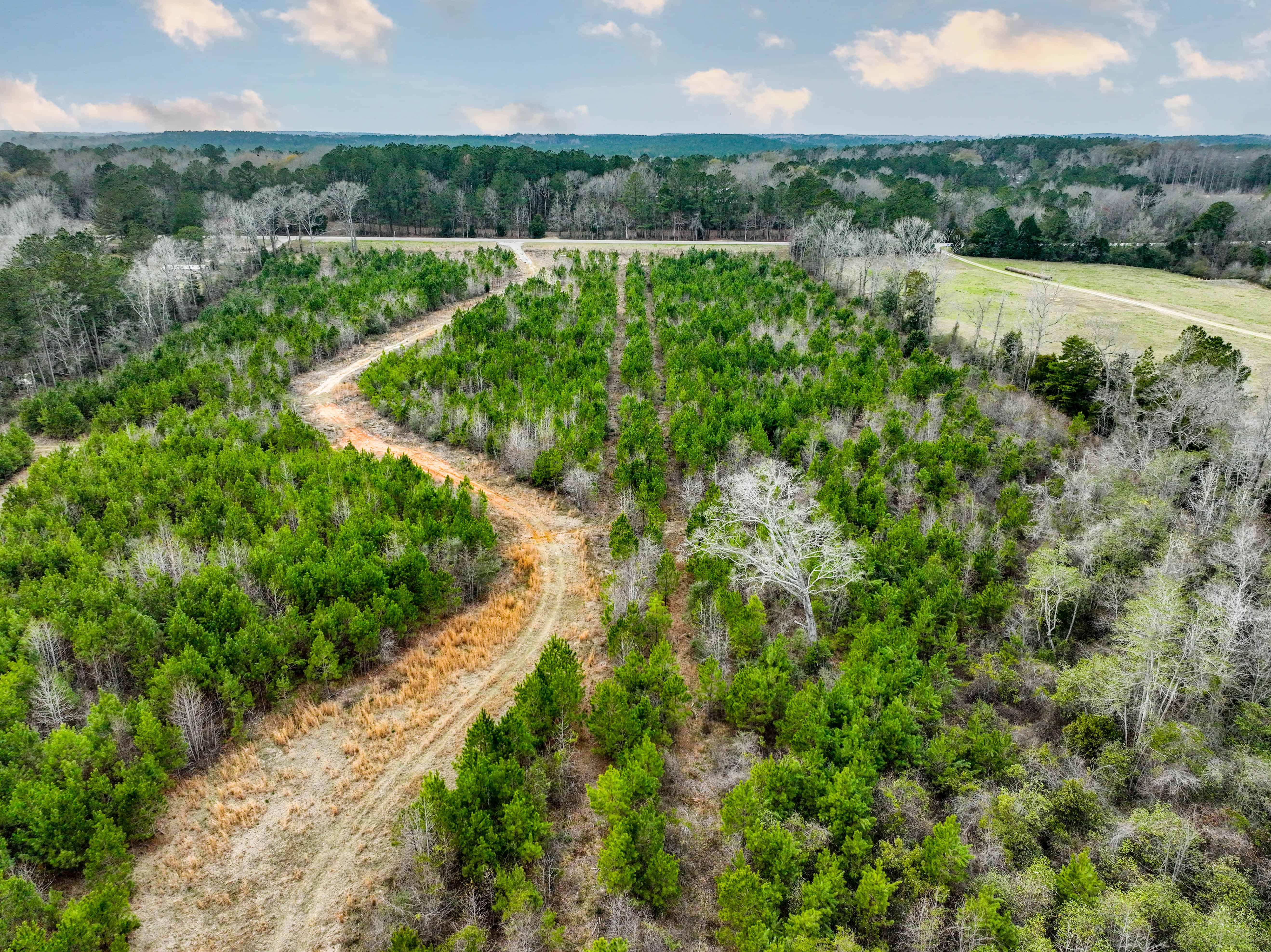 Highway 167 Jack AL 36346
